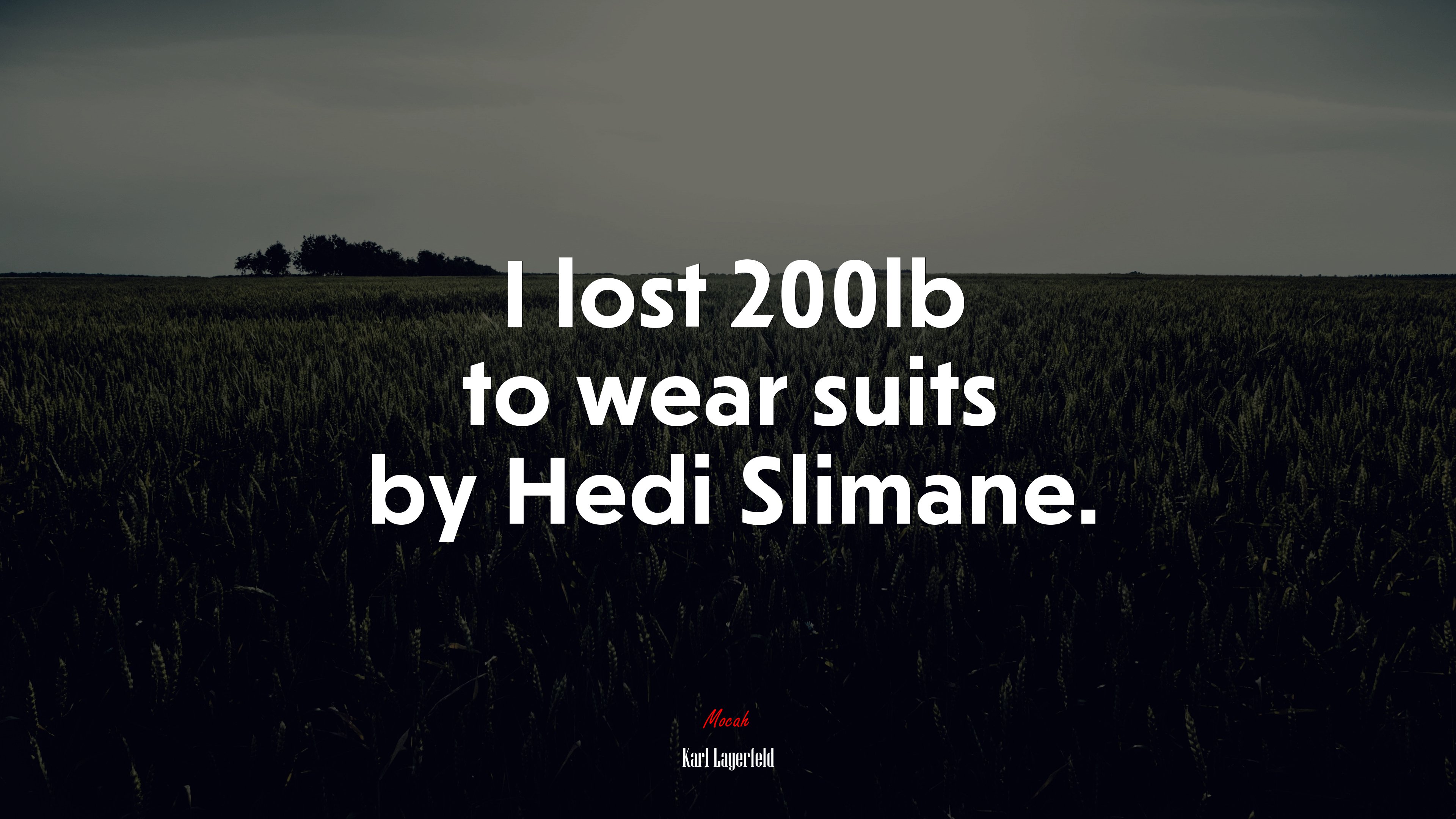 I lost 200lb to wear suits by Hedi Slimane. | Karl Lagerfeld quote HD Wallpaper