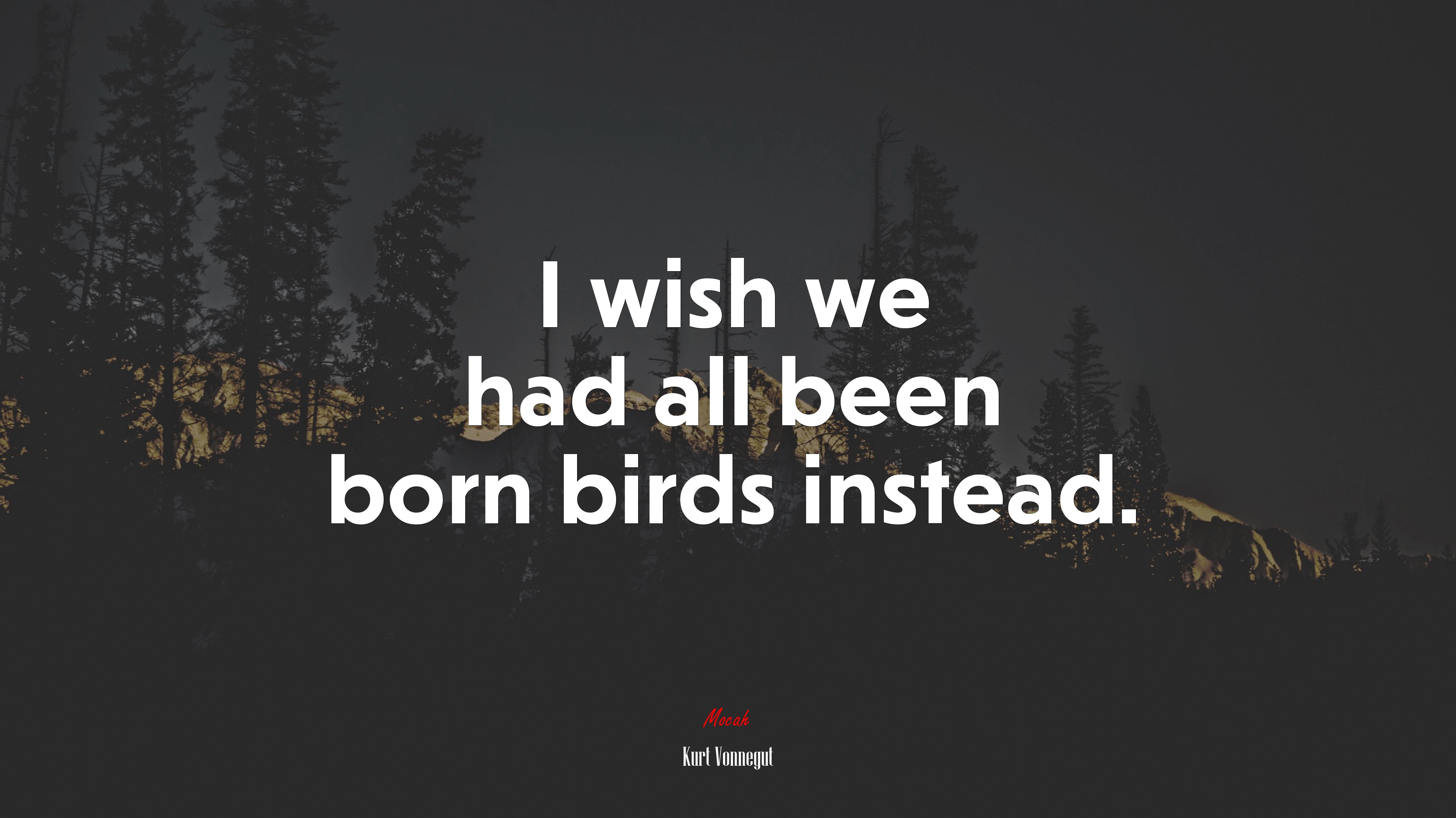 I wish we had all been born birds instead. | Kurt Vonnegut quote HD Wallpaper