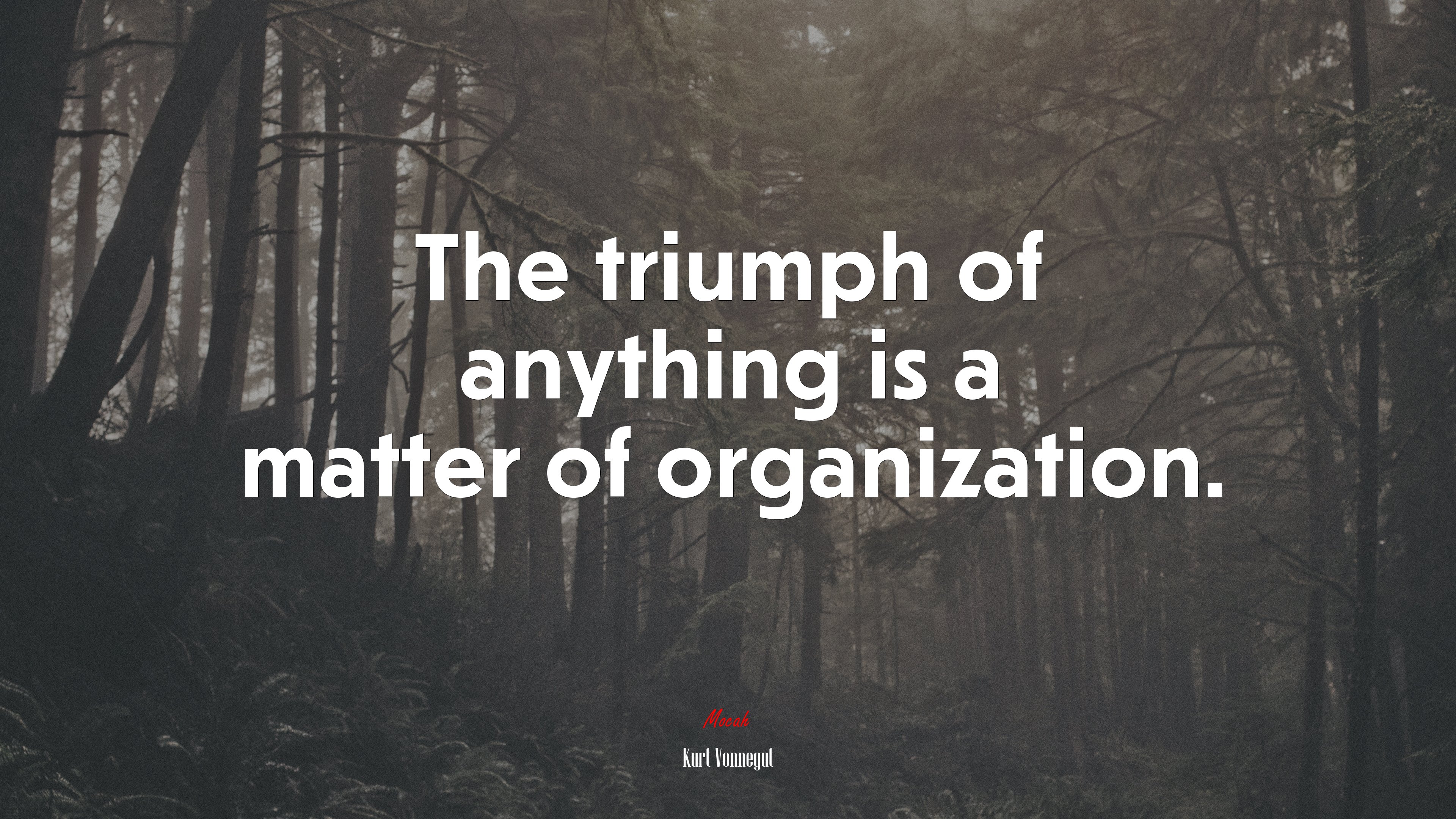 The triumph of anything is a matter of organization. | Kurt Vonnegut quote HD Wallpaper