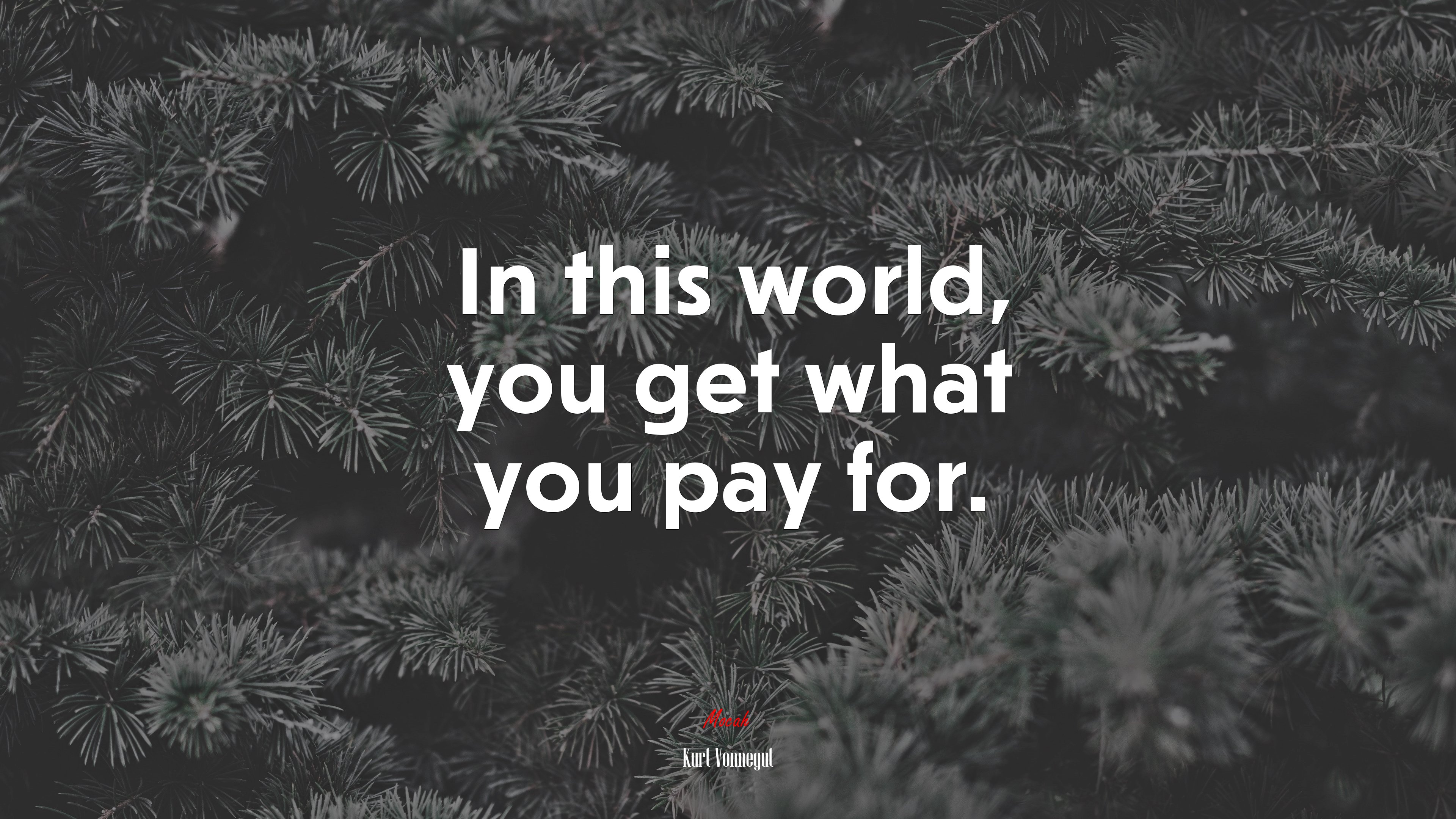 In this world, you get what you pay for. | Kurt Vonnegut quote HD Wallpaper