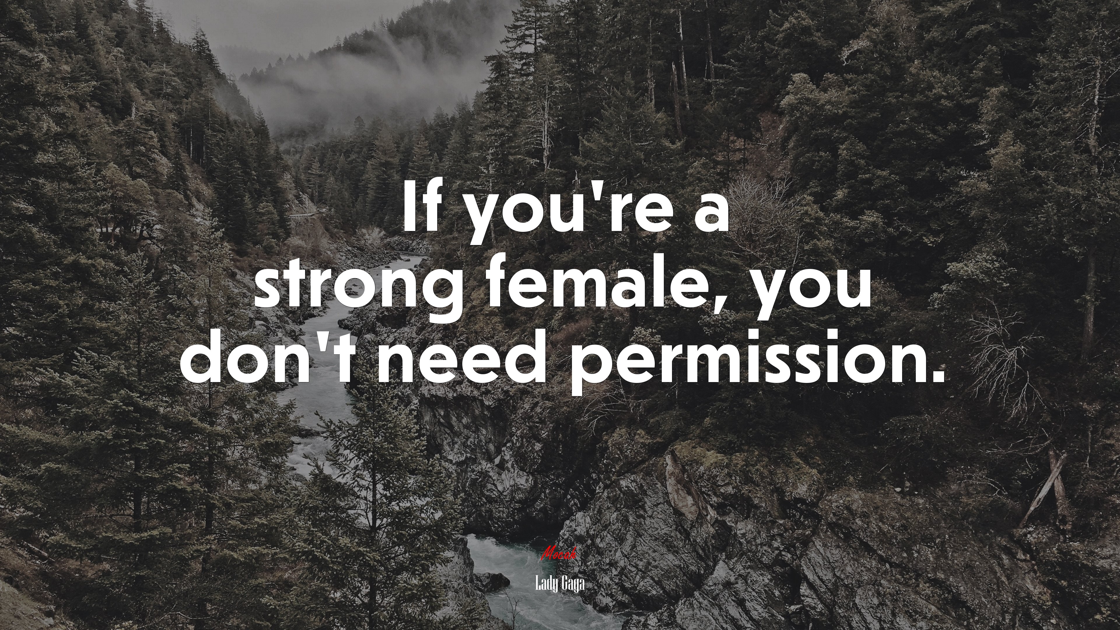 If you’re a strong female, you don’t need permission. | Lady Gaga quote HD Wallpaper