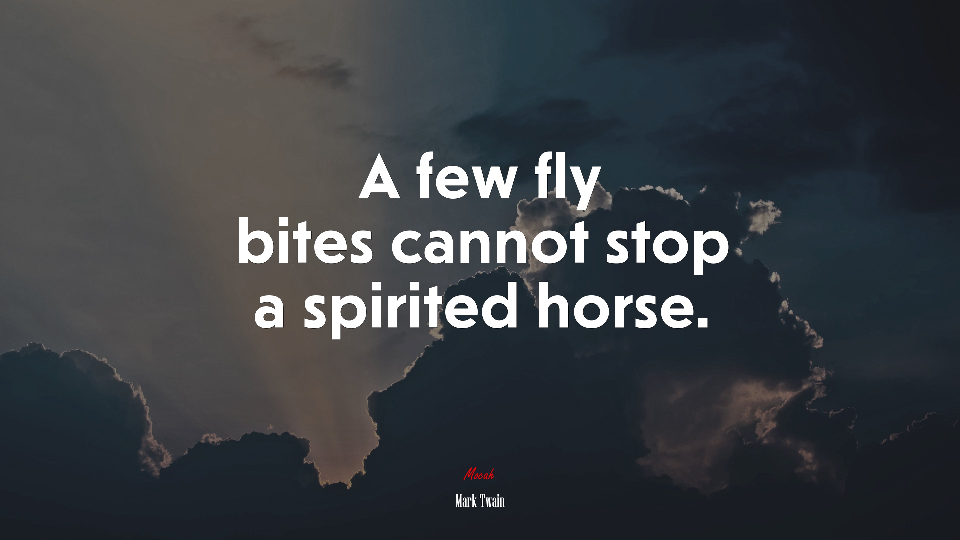 A few fly bites cannot stop a spirited horse. | Mark Twain quote HD Wallpaper
