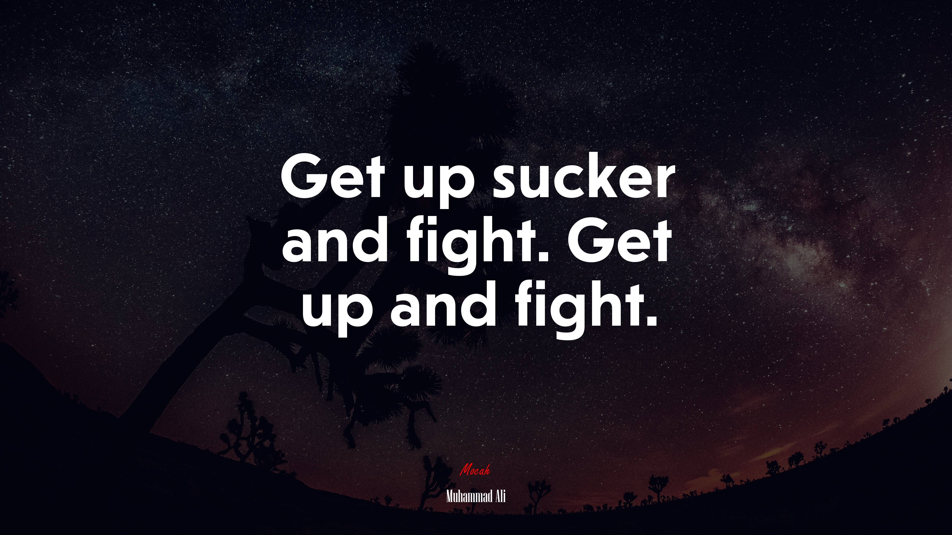 Get up sucker and fight. Get up and fight. | Muhammad Ali quote HD Wallpaper