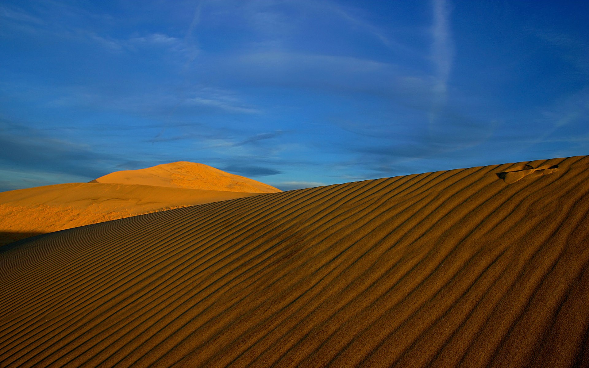 Sand dunes under a blue sky HD Wallpaper