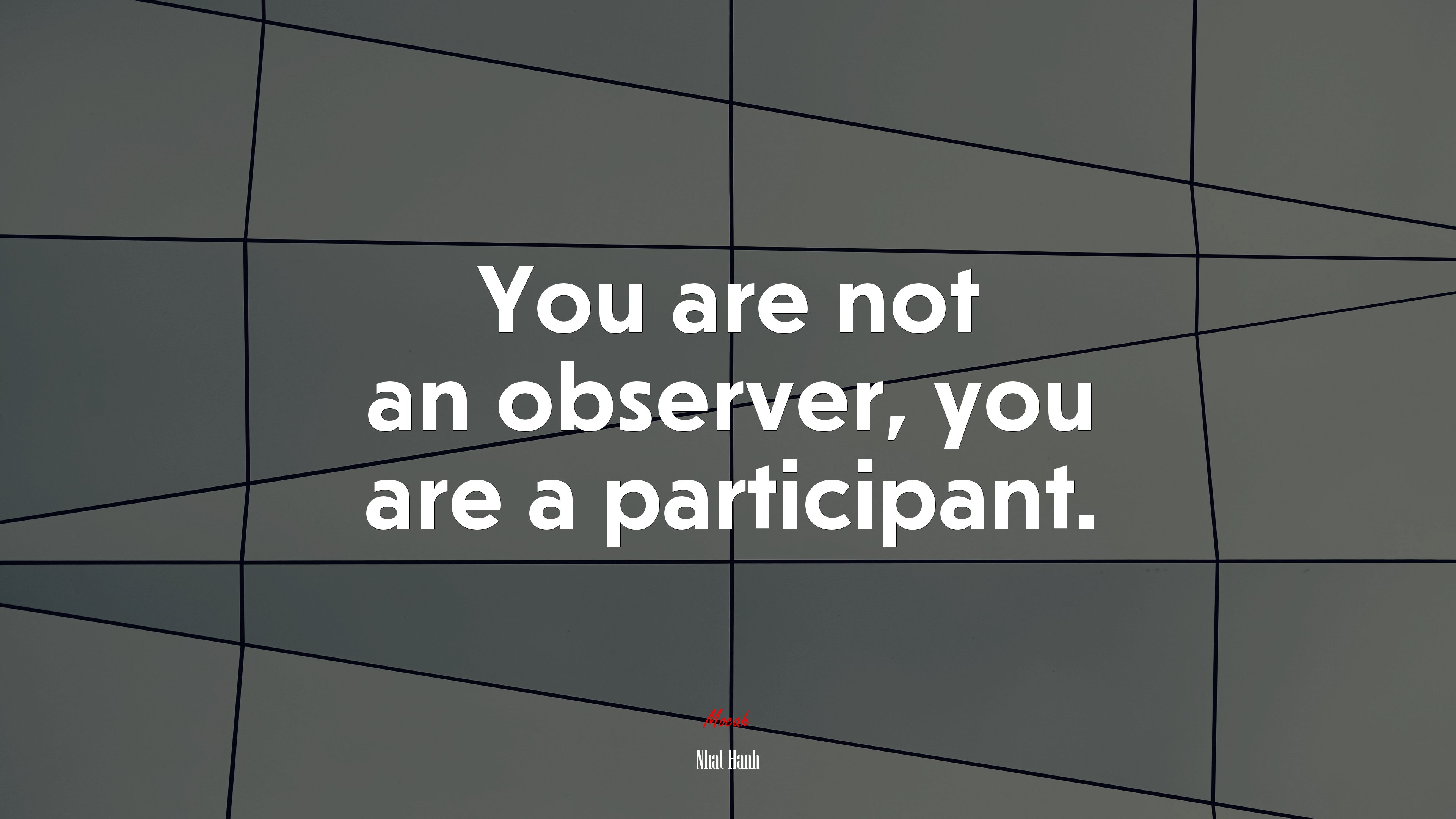 You are not an observer, you are a participant. | Nhat Hanh quote HD Wallpaper