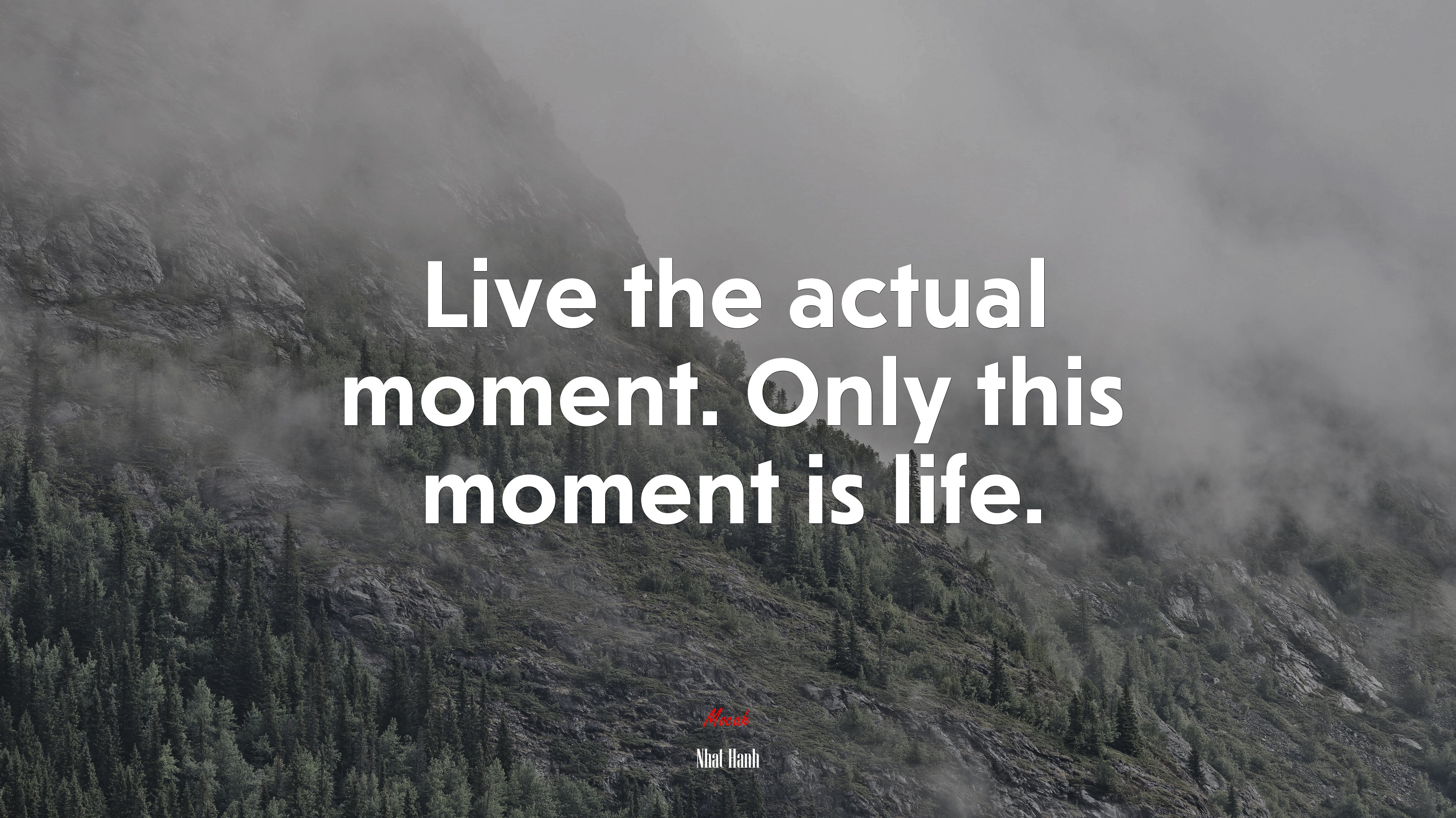Live the actual moment. Only this moment is life. | Nhat Hanh quote HD Wallpaper
