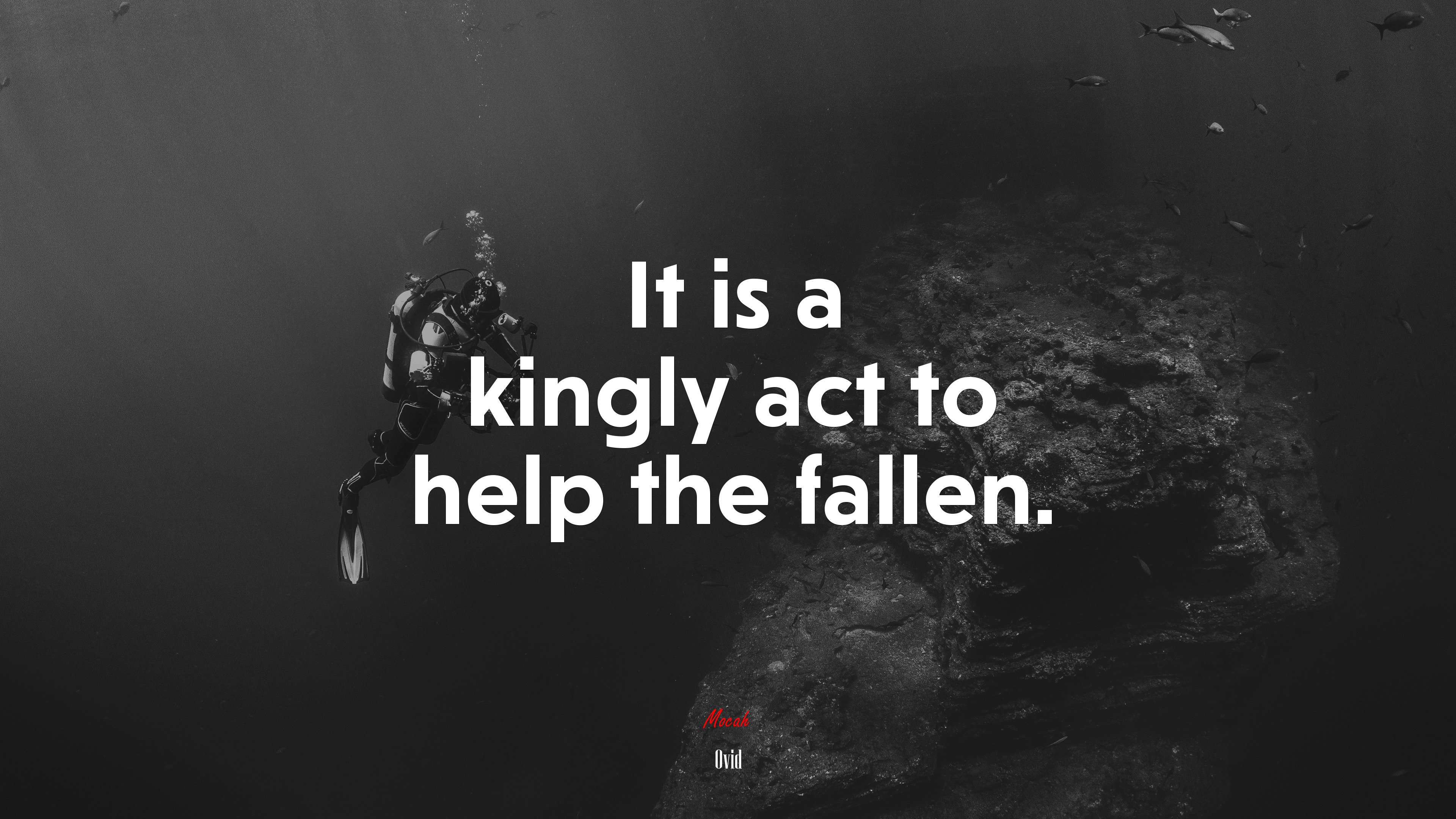 It is a kingly act to help the fallen. | Ovid quote HD Wallpaper