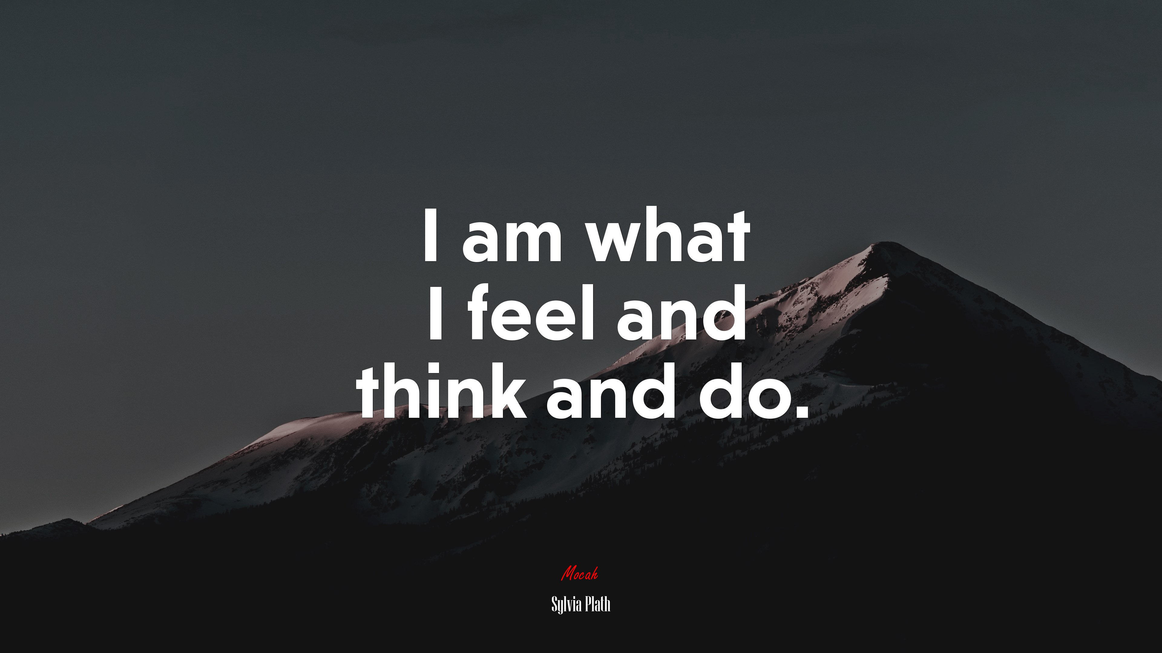 I am what I feel and think and do. | Sylvia Plath quote HD Wallpaper