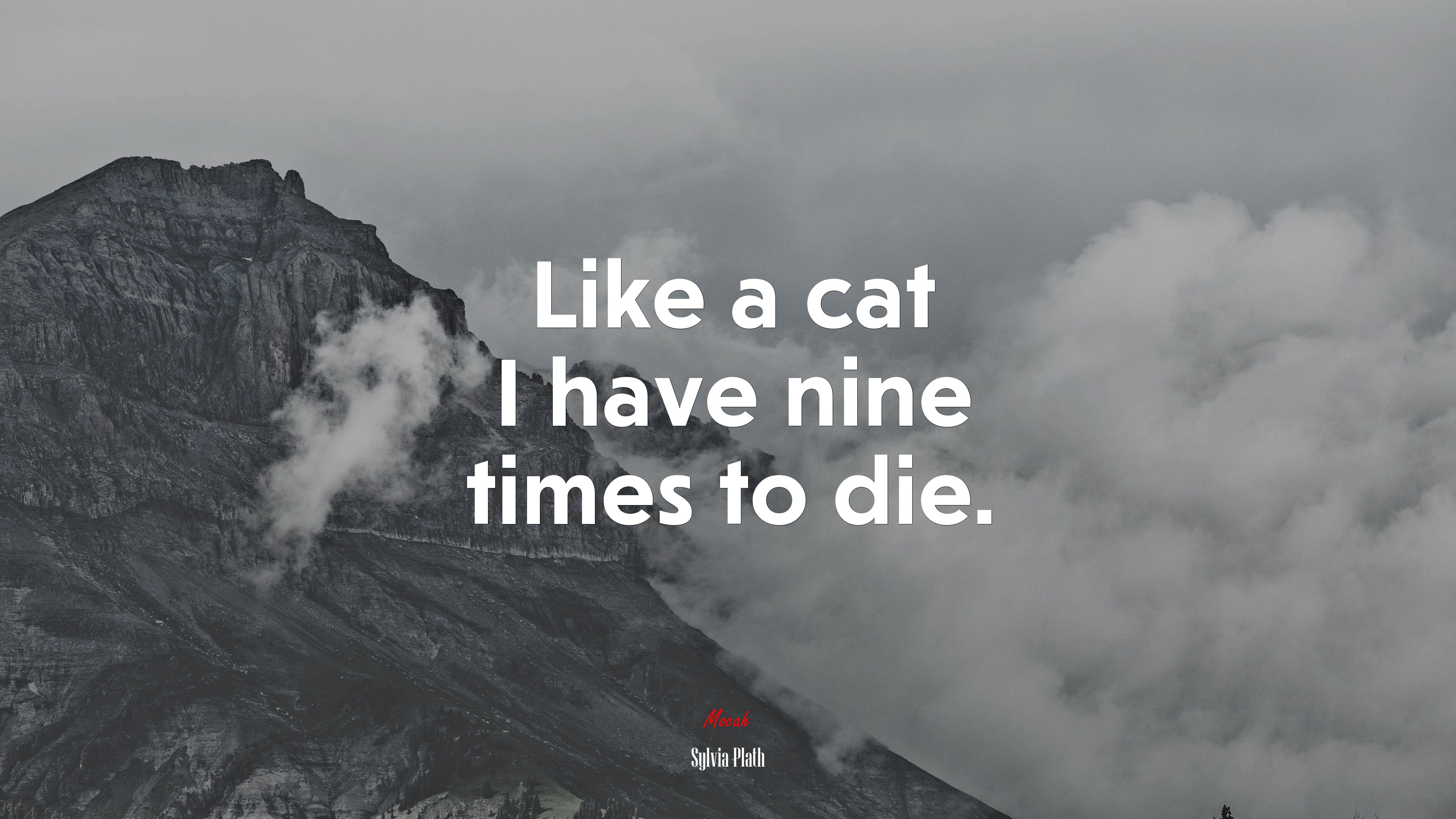 Like a cat I have nine times to die. | Sylvia Plath quote HD Wallpaper