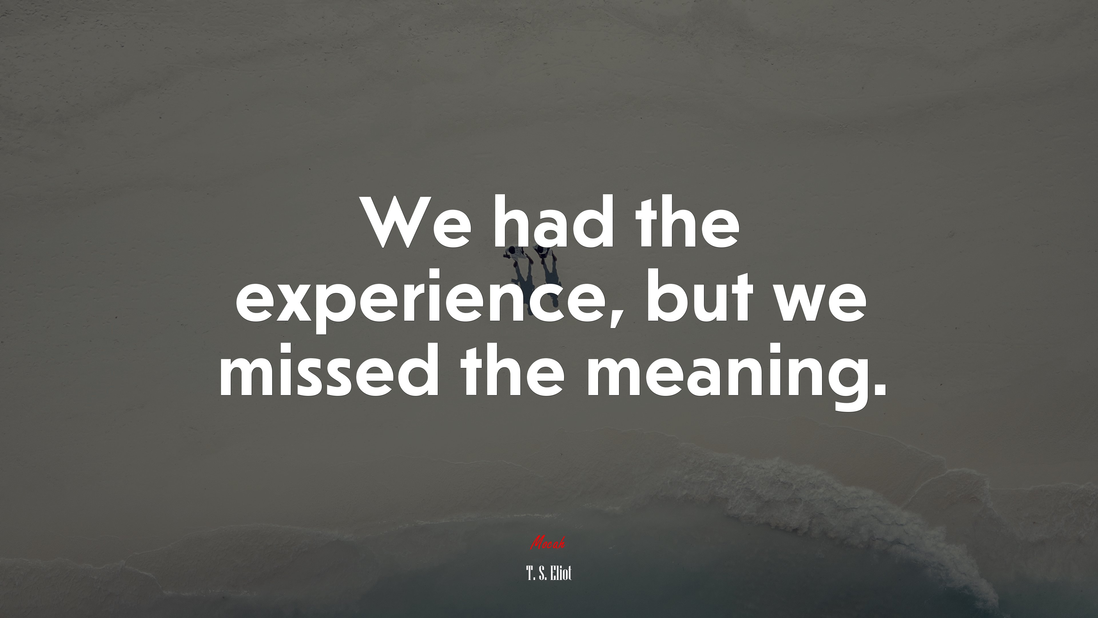 We had the experience, but we missed the meaning. | T. S. Eliot quote HD Wallpaper