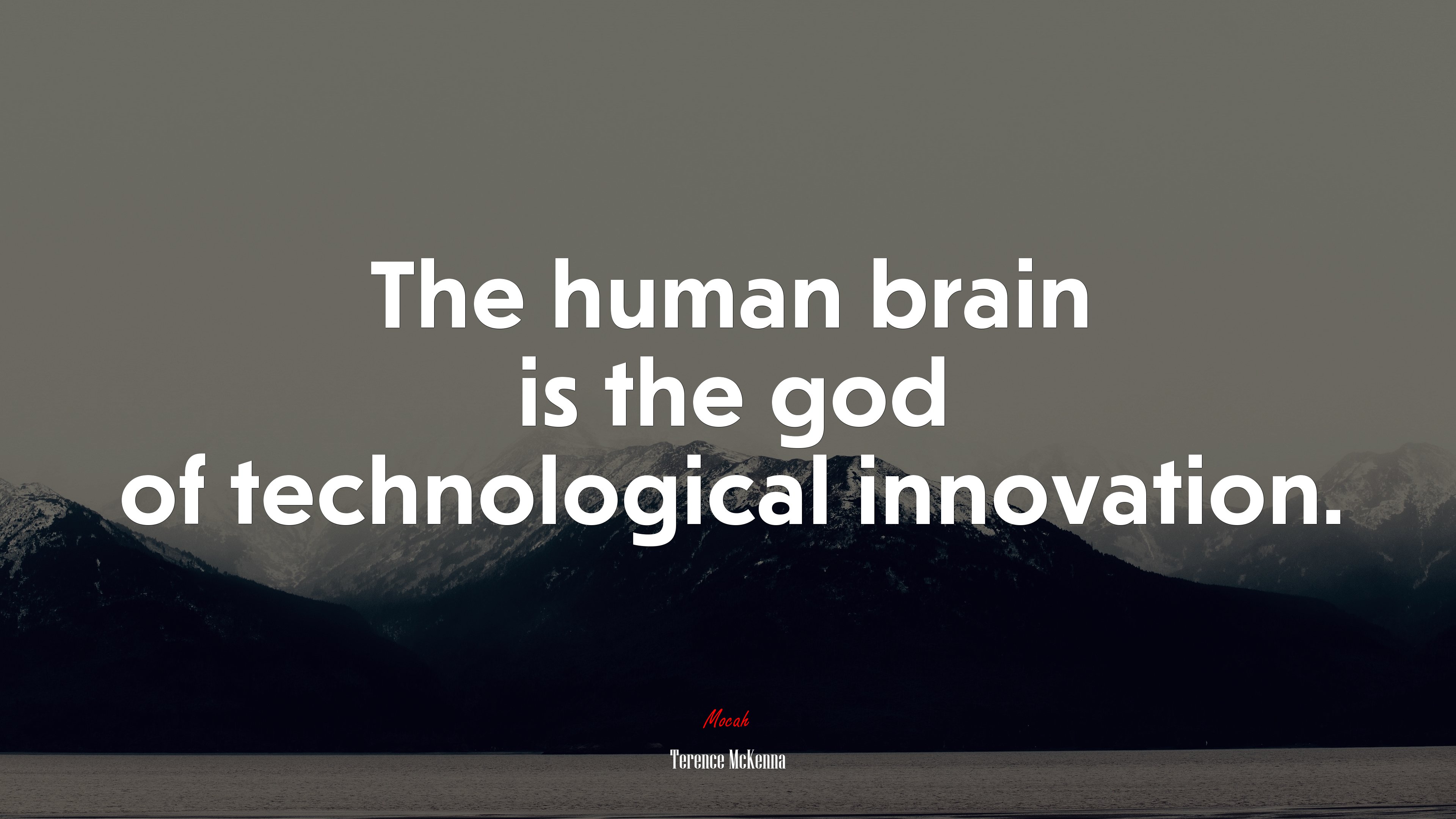 The human brain is the god of technological innovation. | Terence McKenna quote HD Wallpaper