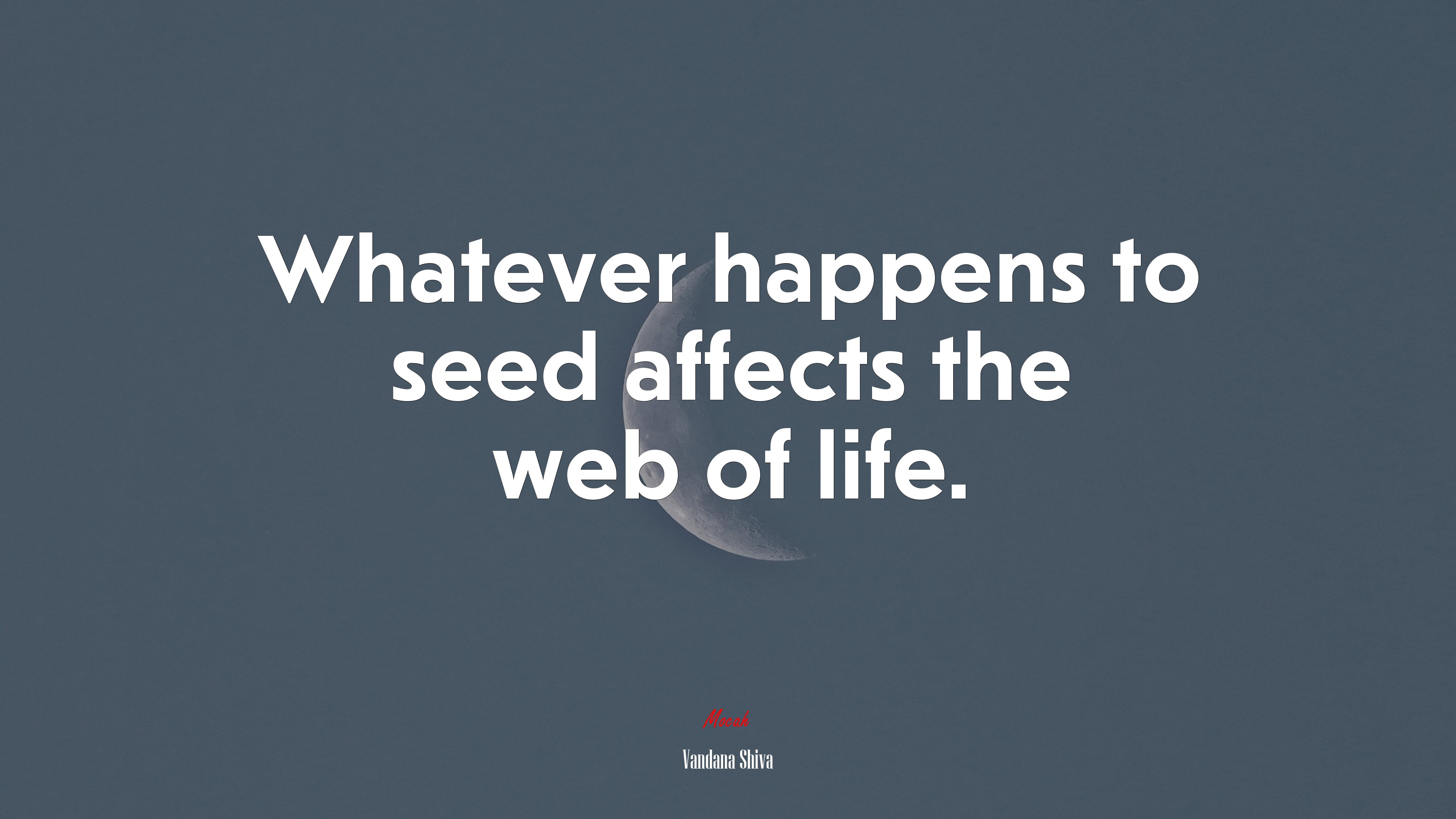 Whatever happens to seed affects the web of life. | Vandana Shiva quote HD Wallpaper