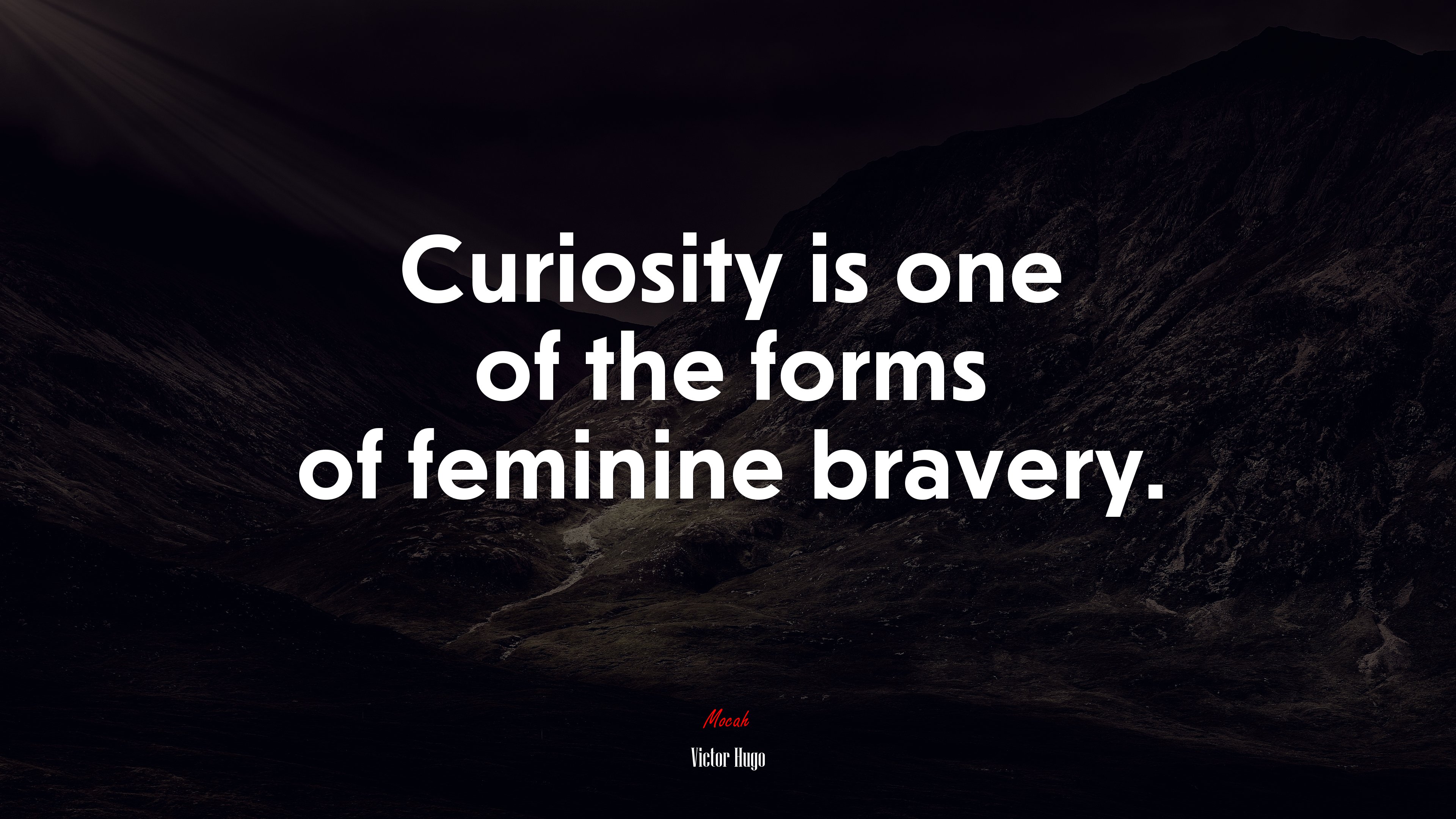 Curiosity is one of the forms of feminine bravery. | Victor Hugo quote HD Wallpaper