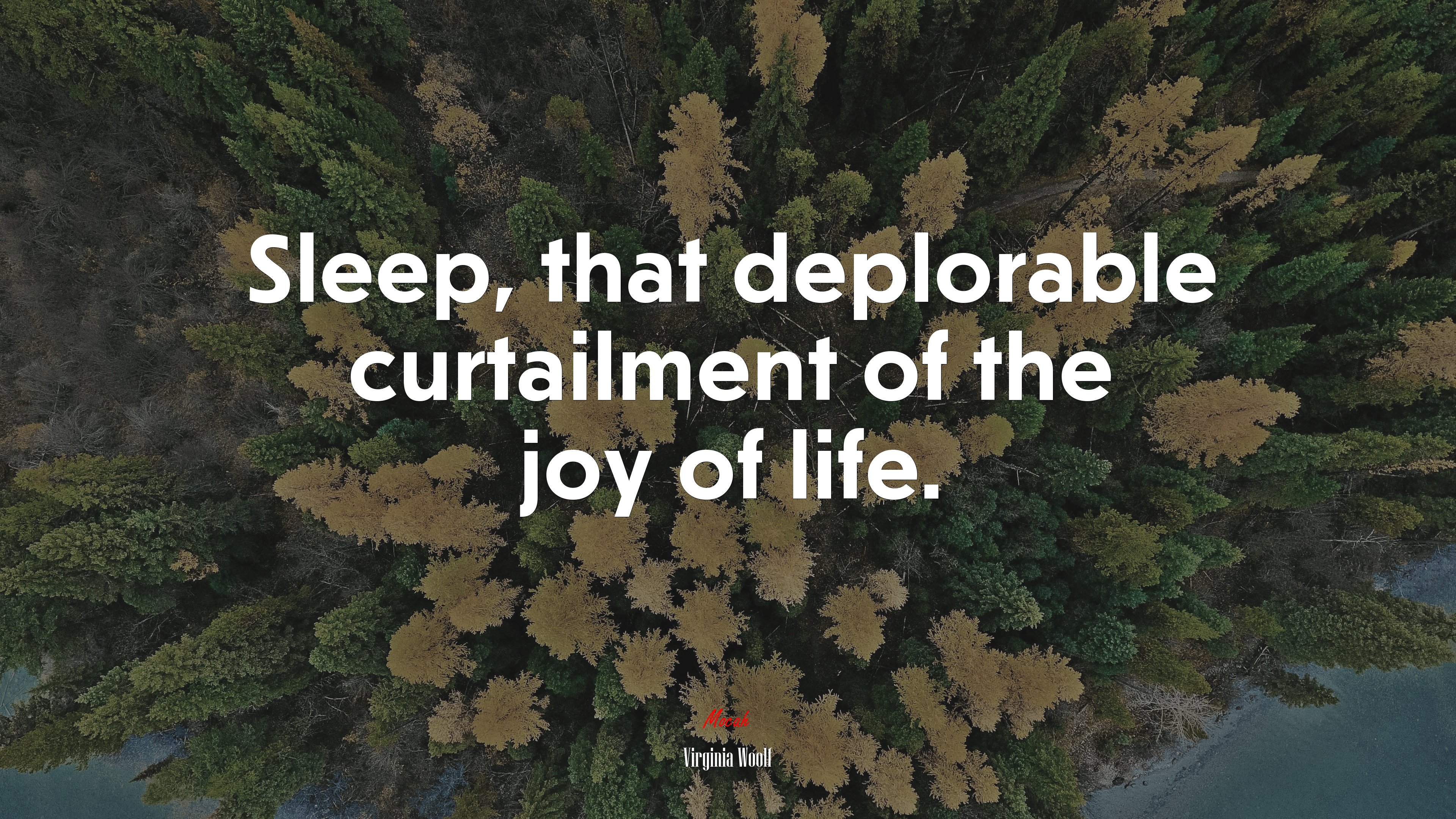 Sleep, that deplorable curtailment of the joy of life. | Virginia Woolf quote HD Wallpaper