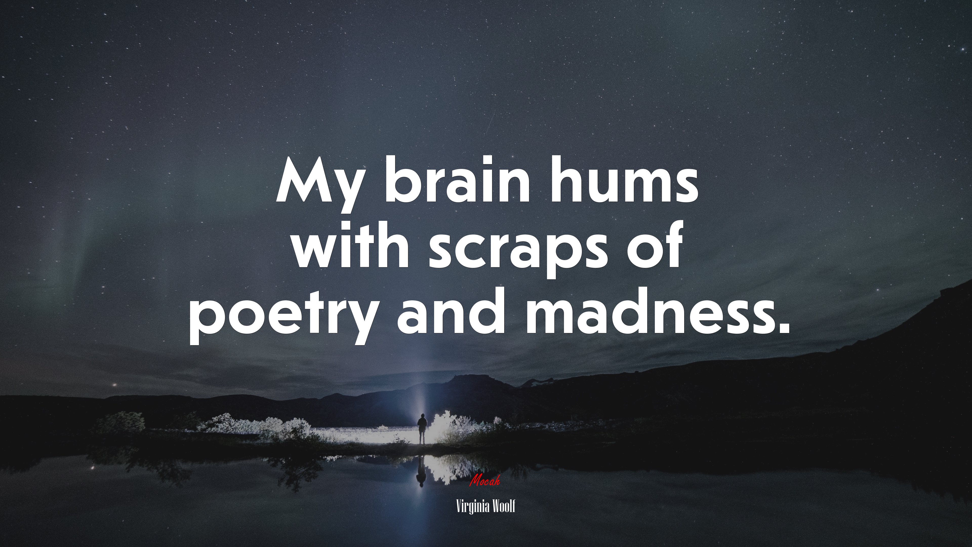 My brain hums with scraps of poetry and madness. | Virginia Woolf quote HD Wallpaper