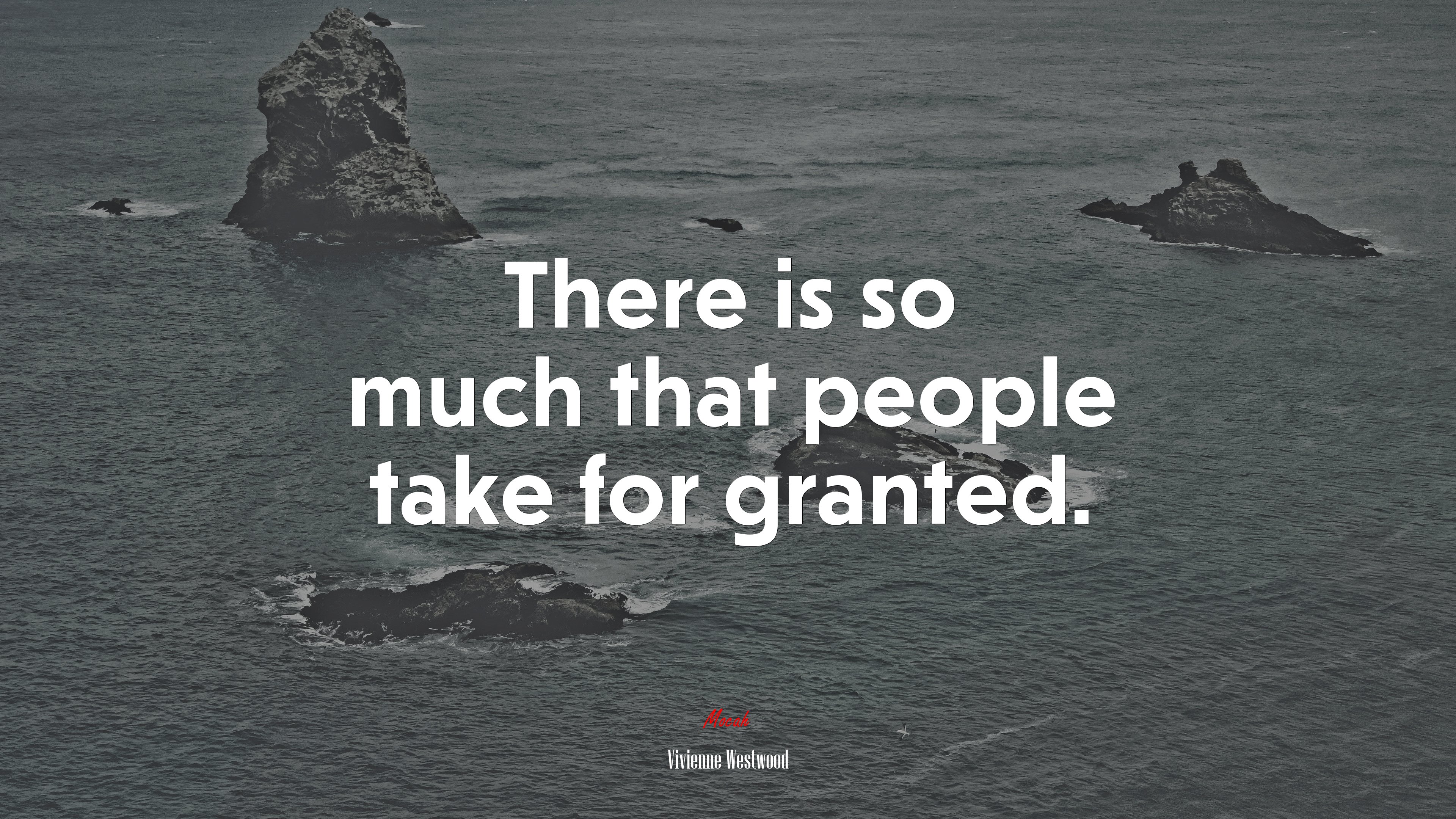 There is so much that people take for granted. | Vivienne Westwood quote HD Wallpaper