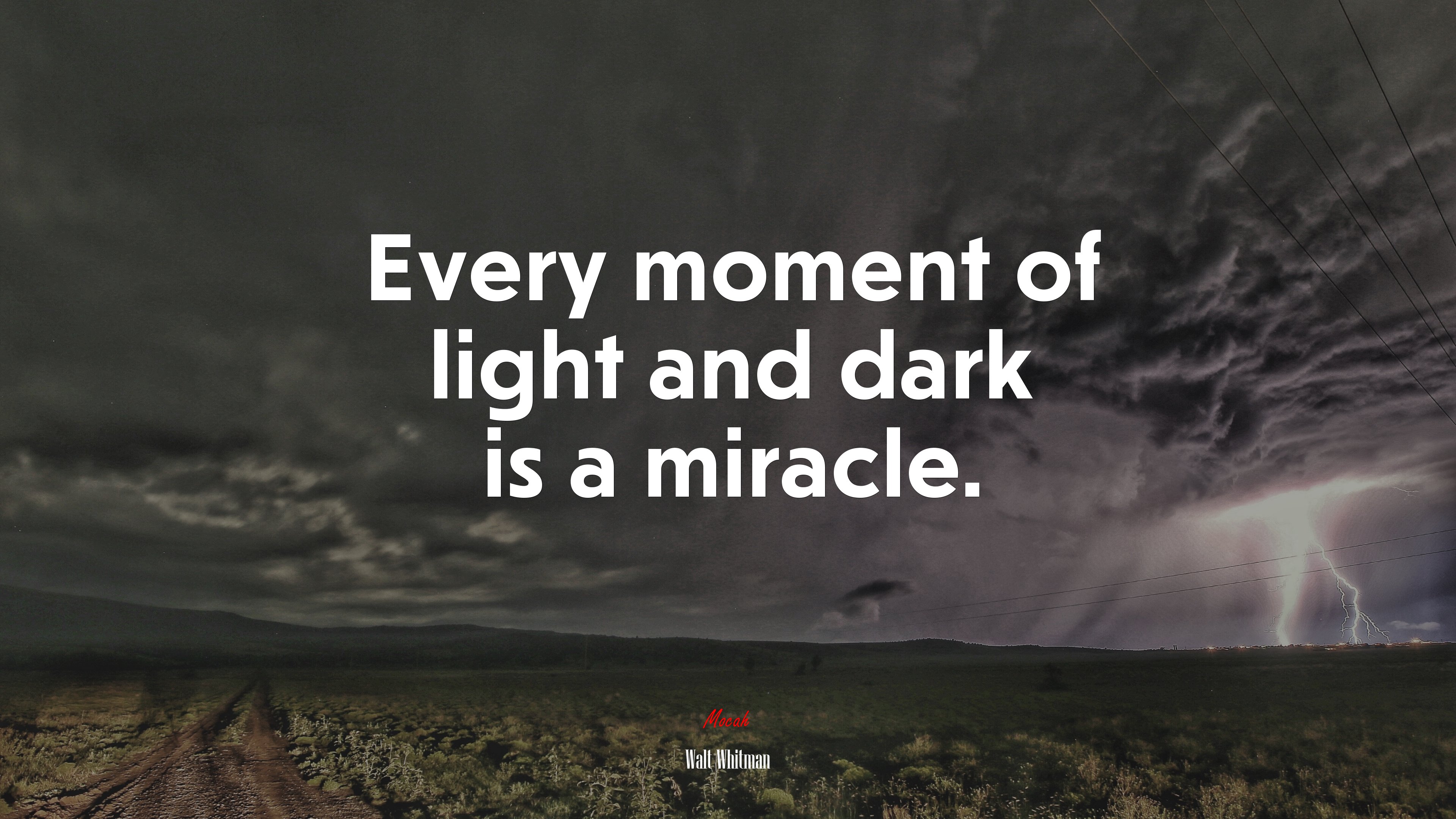 Every moment of light and dark is a miracle. | Walt Whitman quote HD Wallpaper