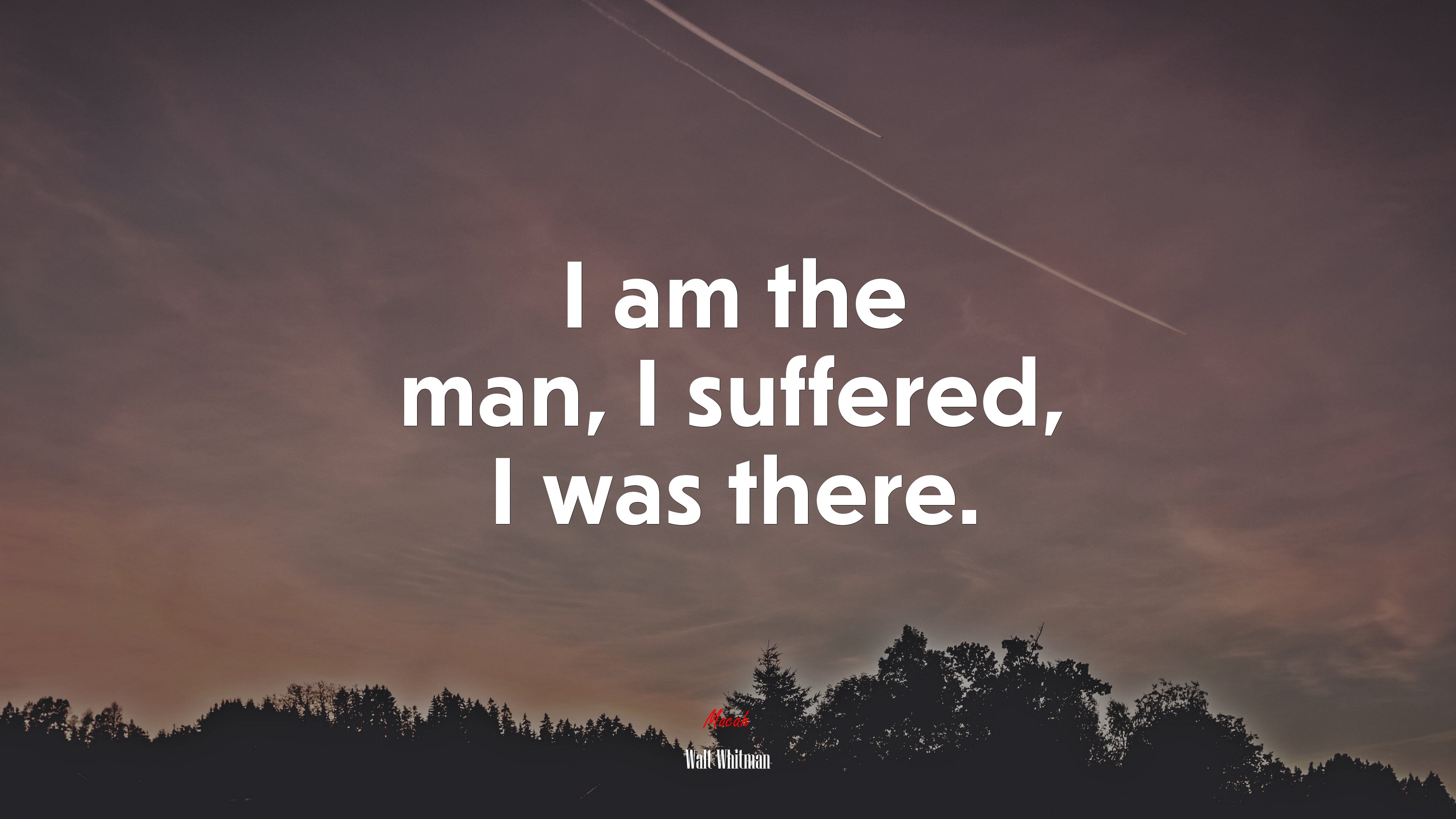 I am the man, I suffered, I was there. | Walt Whitman quote HD Wallpaper