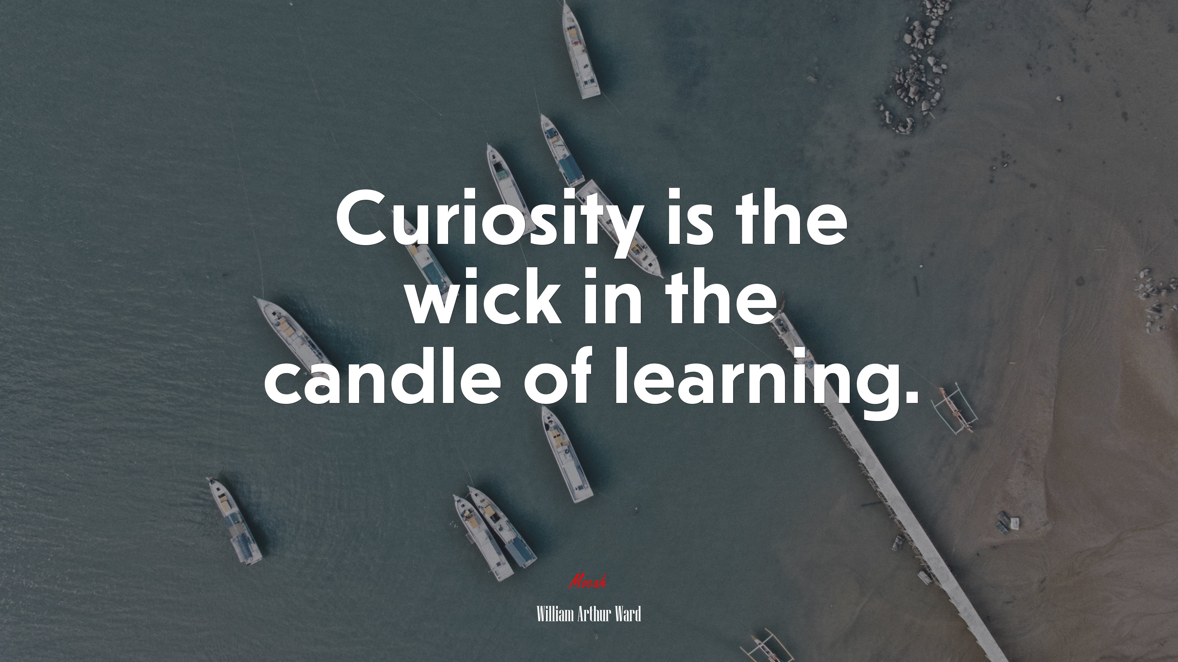 Curiosity is the wick in the candle of learning. | William Arthur Ward quote HD Wallpaper