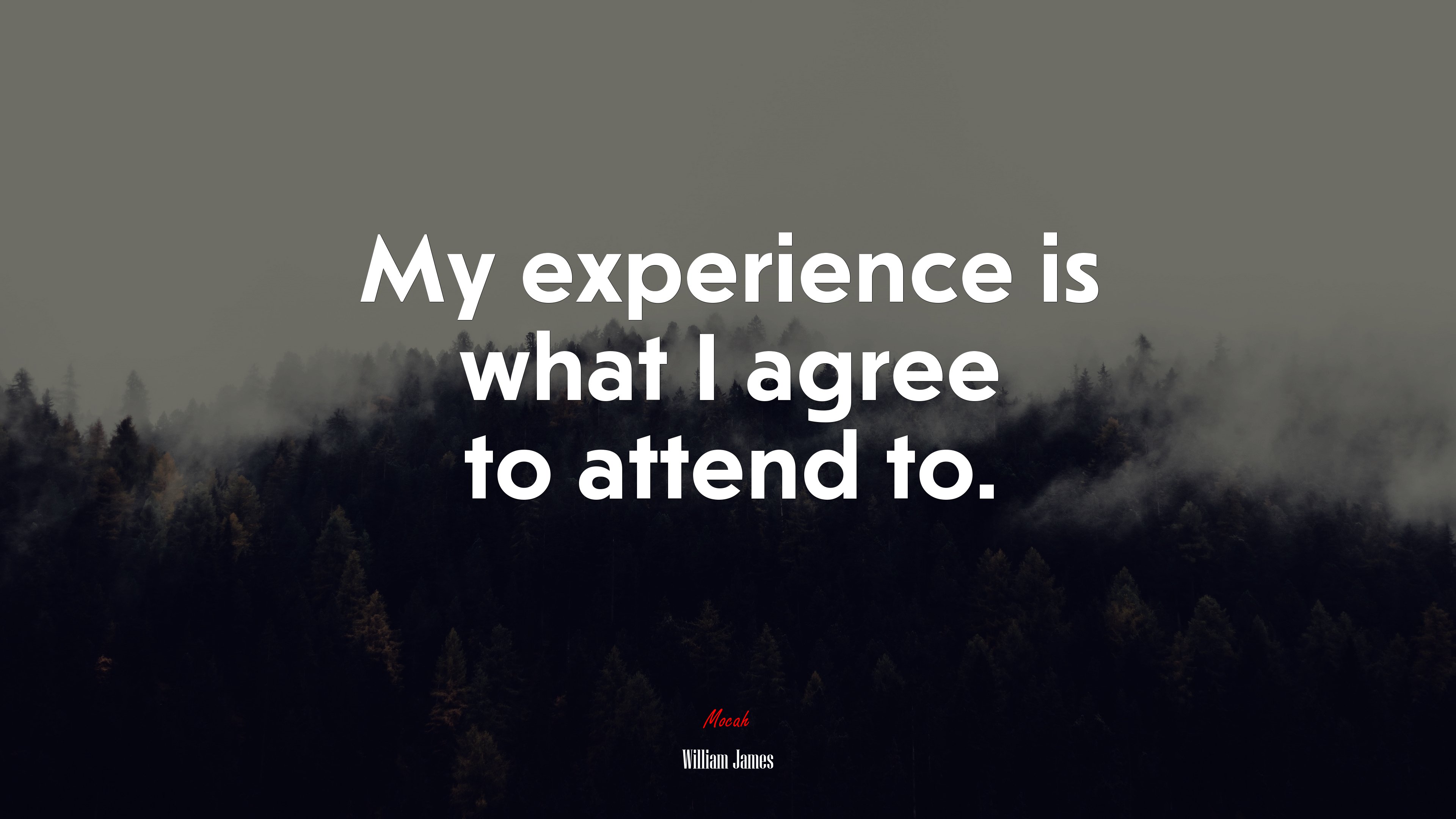 My experience is what I agree to attend to. | William James quote HD Wallpaper