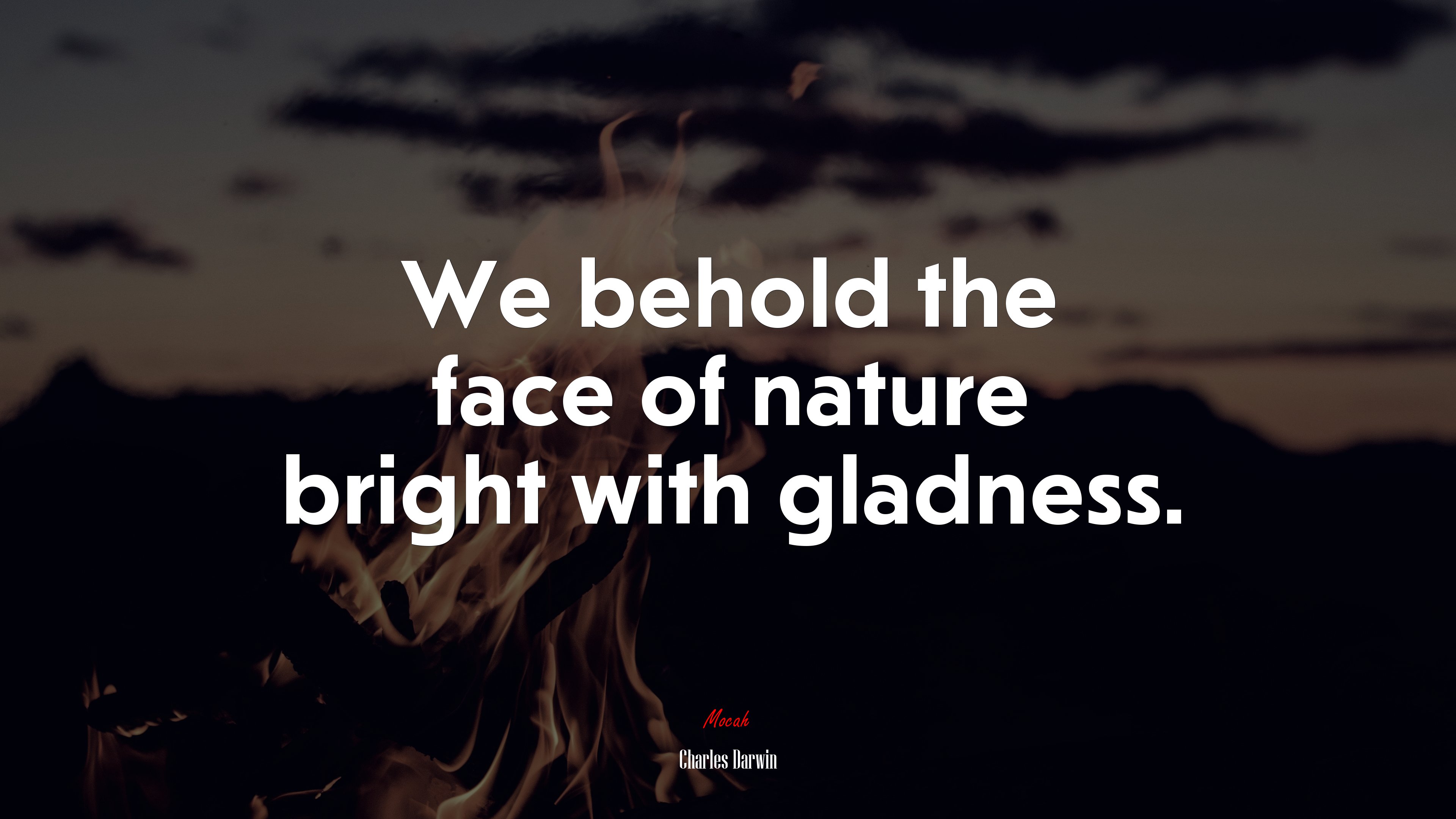We behold the face of nature bright with gladness. | Charles Darwin quote HD Wallpaper