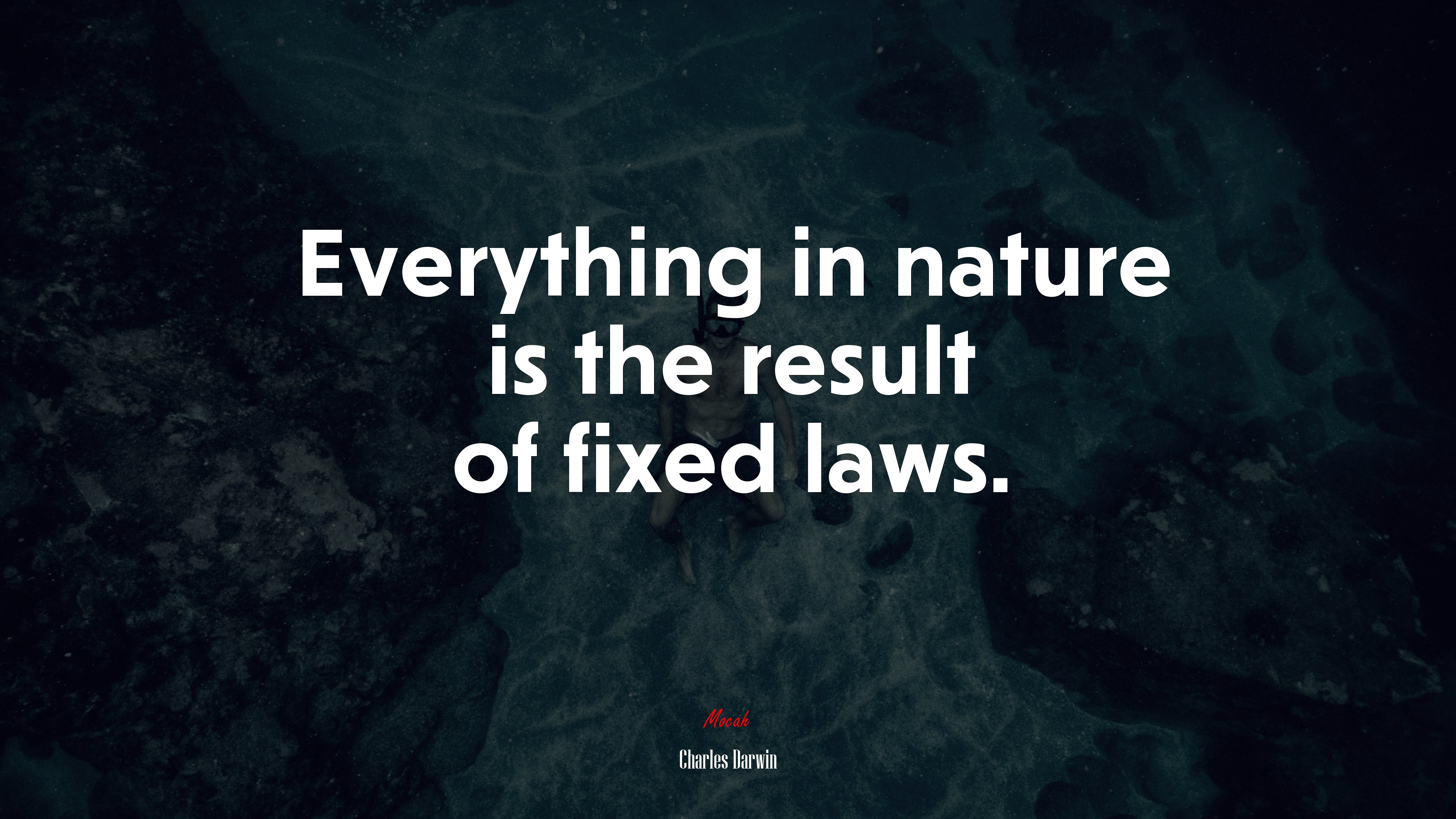Everything in nature is the result of fixed laws. | Charles Darwin quote HD Wallpaper