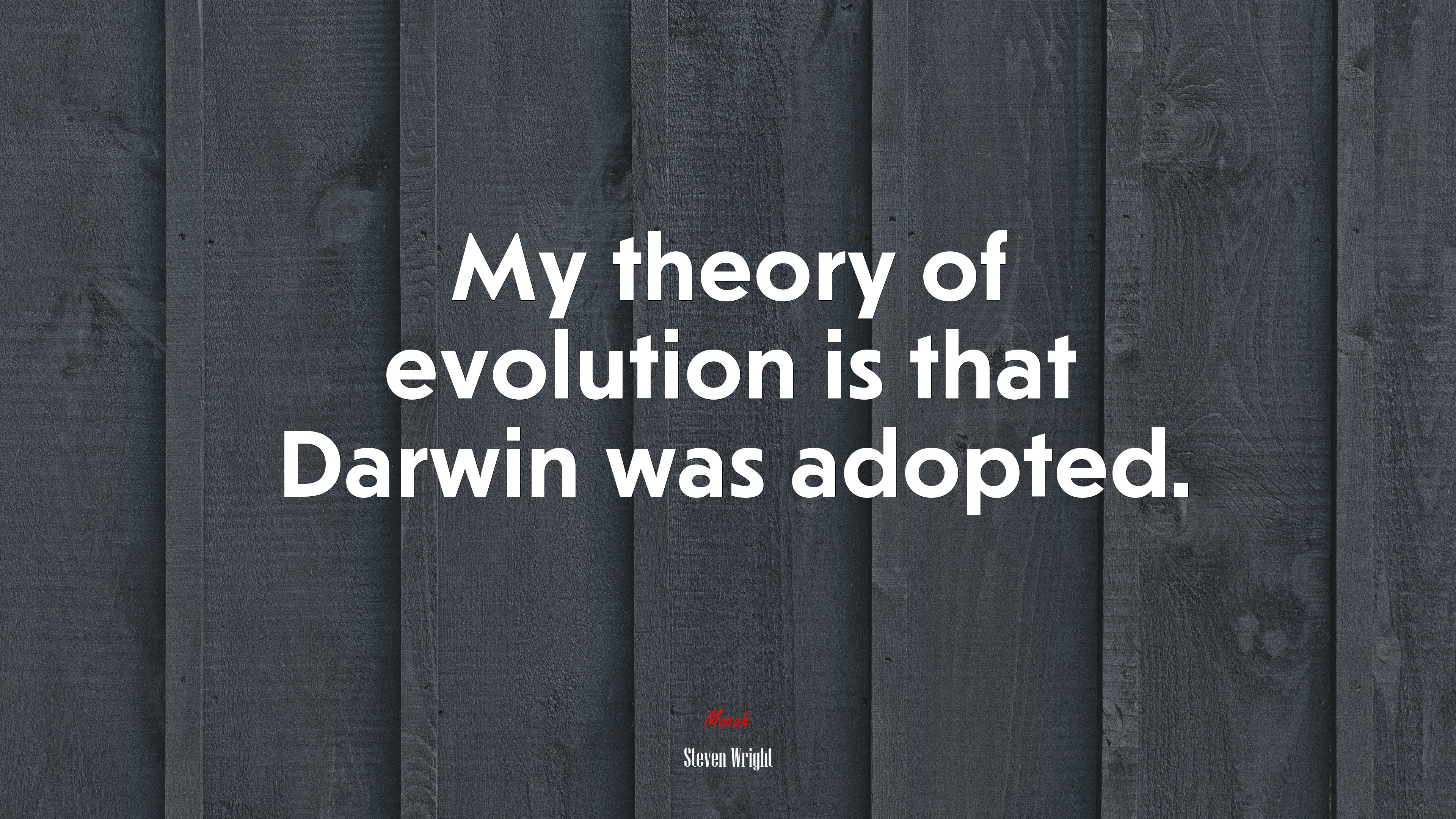 My theory of evolution is that Darwin was adopted. | Steven Wright quote HD Wallpaper