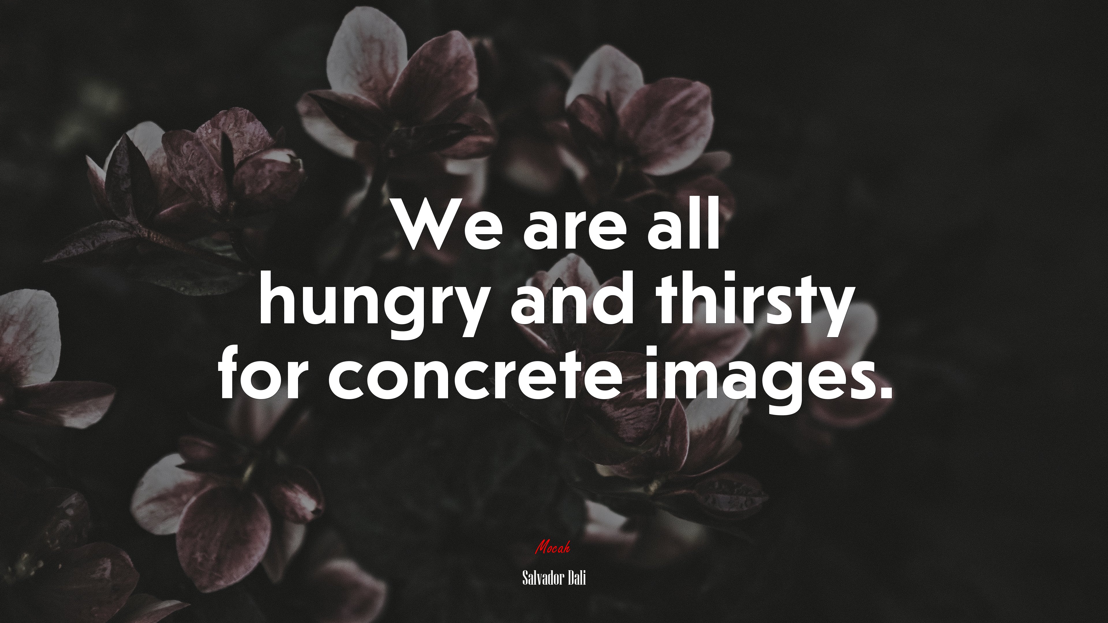 We are all hungry and thirsty for concrete images. | Salvador Dalí quote HD Wallpaper