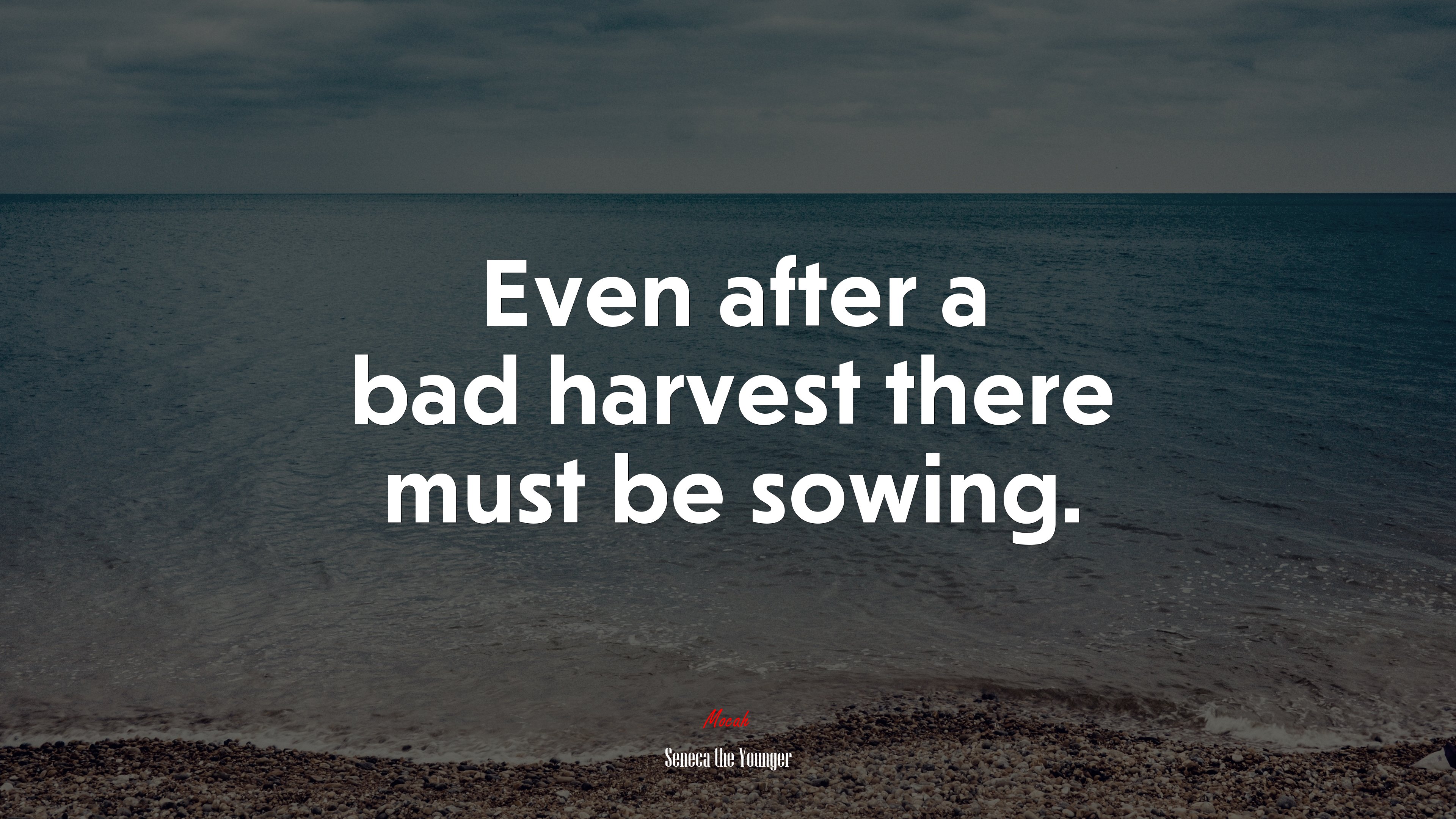 Even after a bad harvest there must be sowing. | Seneca the Younger quote HD Wallpaper