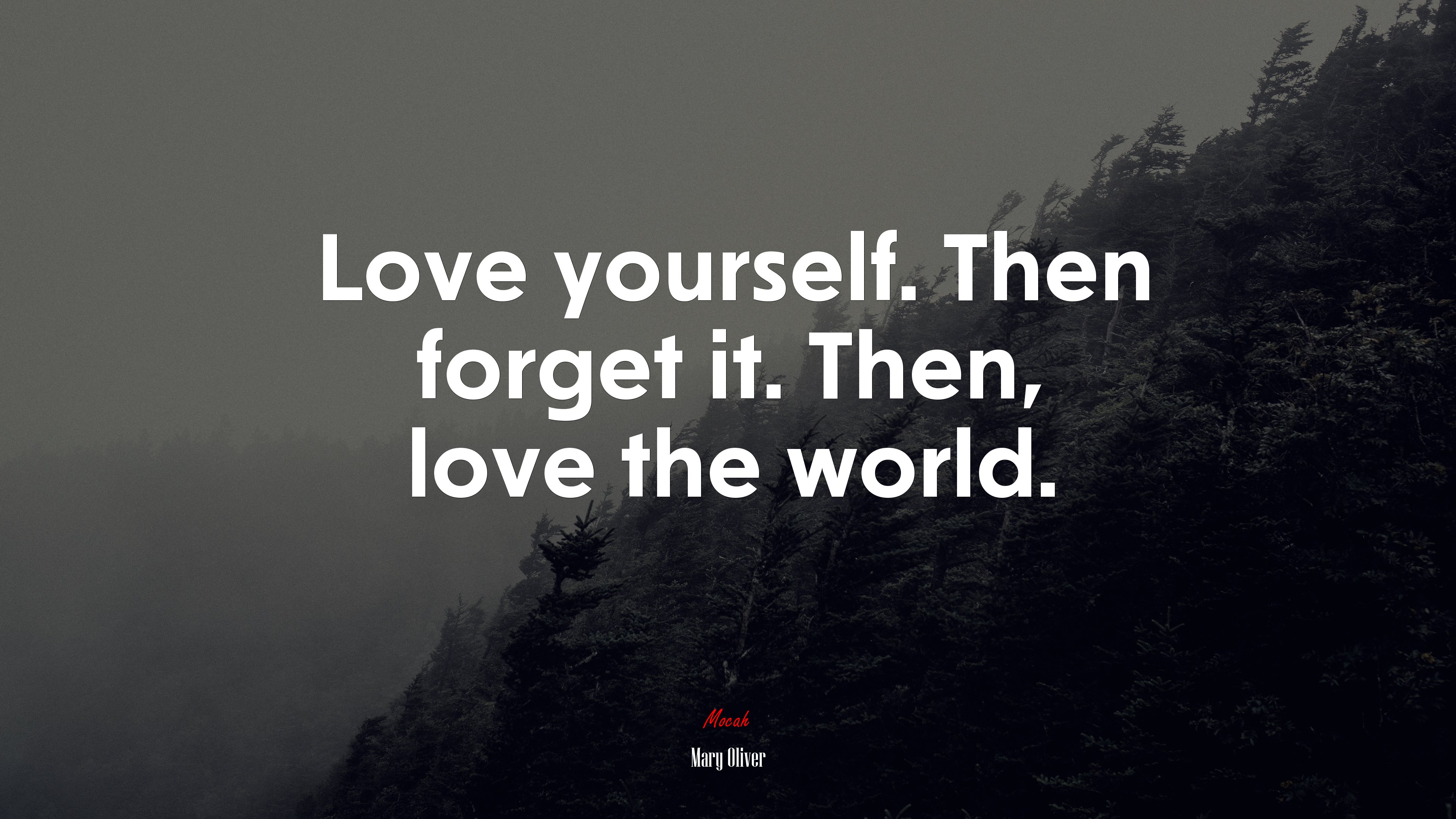 Love yourself. Then forget it. Then, love the world. | Mary Oliver quote HD Wallpaper