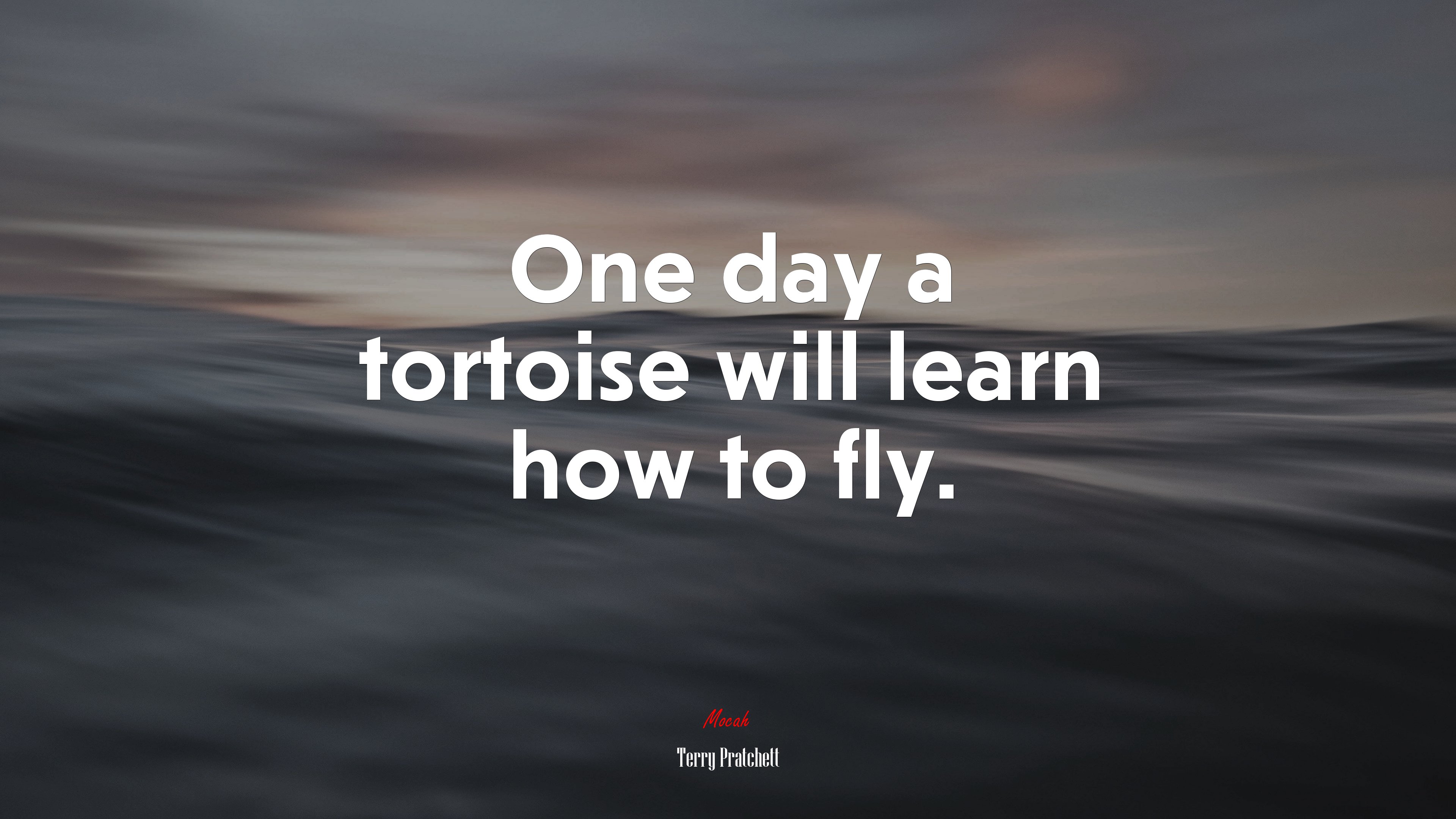 One day a tortoise will learn how to fly. | Terry Pratchett quote HD Wallpaper