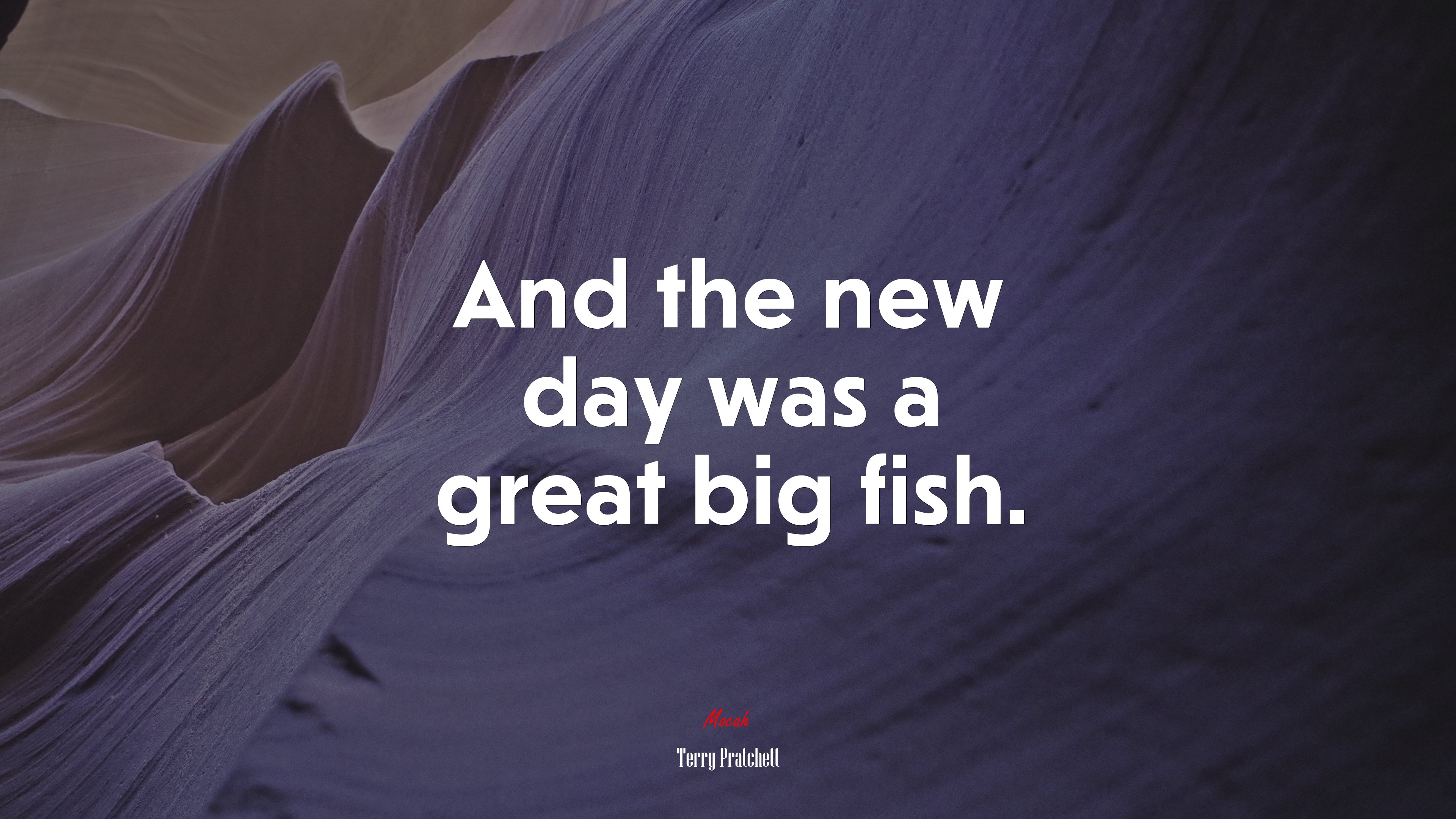 And the new day was a great big fish. | Terry Pratchett quote HD Wallpaper