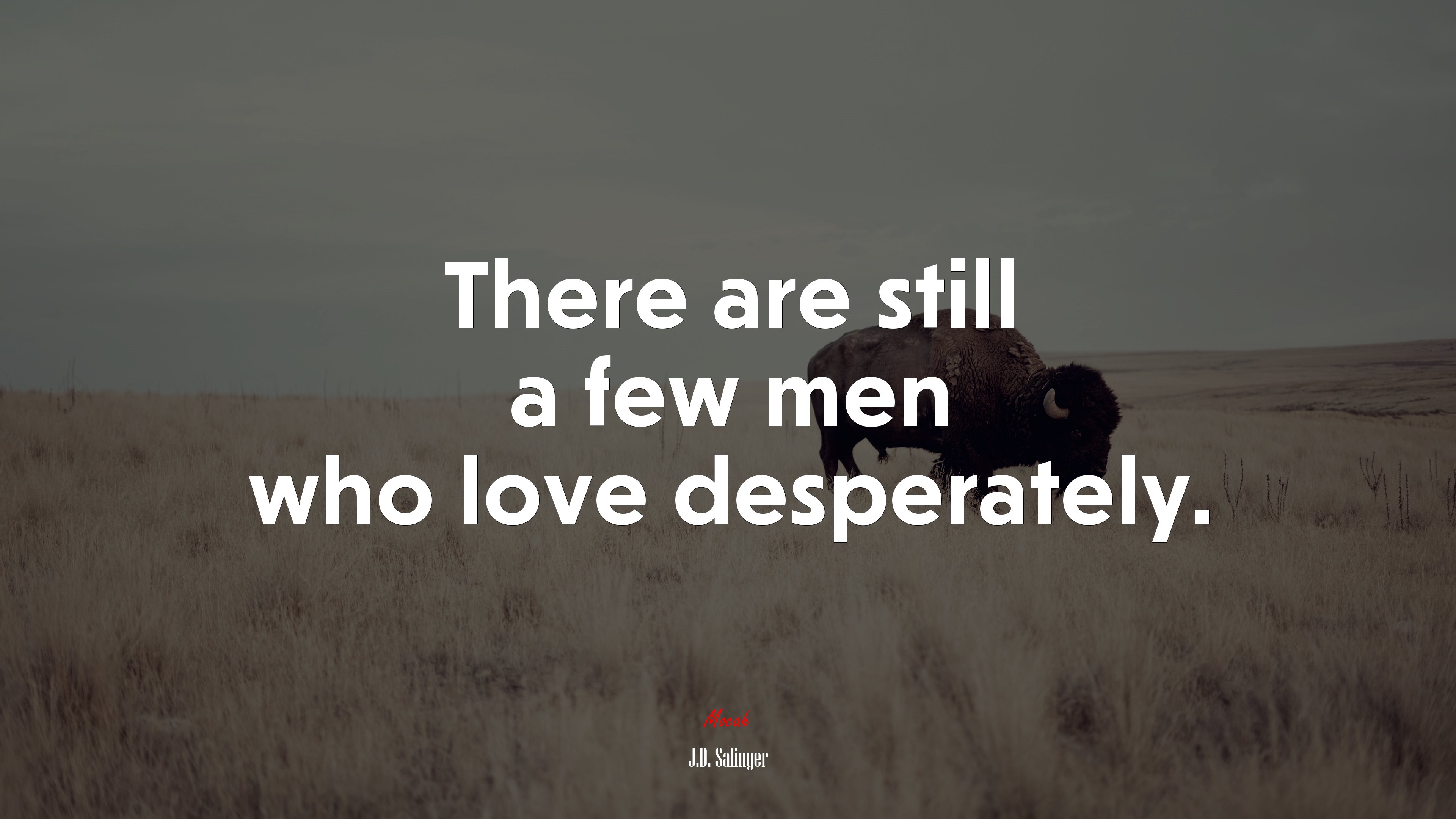 There are still a few men who love desperately. | J.D. Salinger quote HD Wallpaper