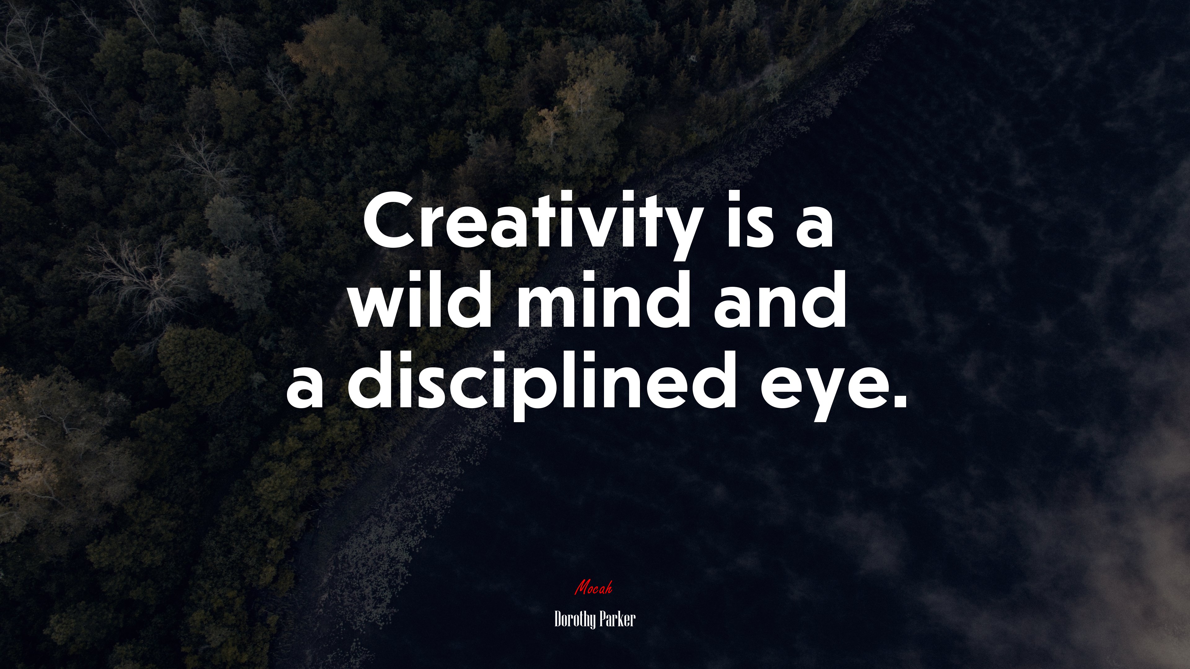 Creativity is a wild mind and a disciplined eye. | Dorothy Parker quote HD Wallpaper