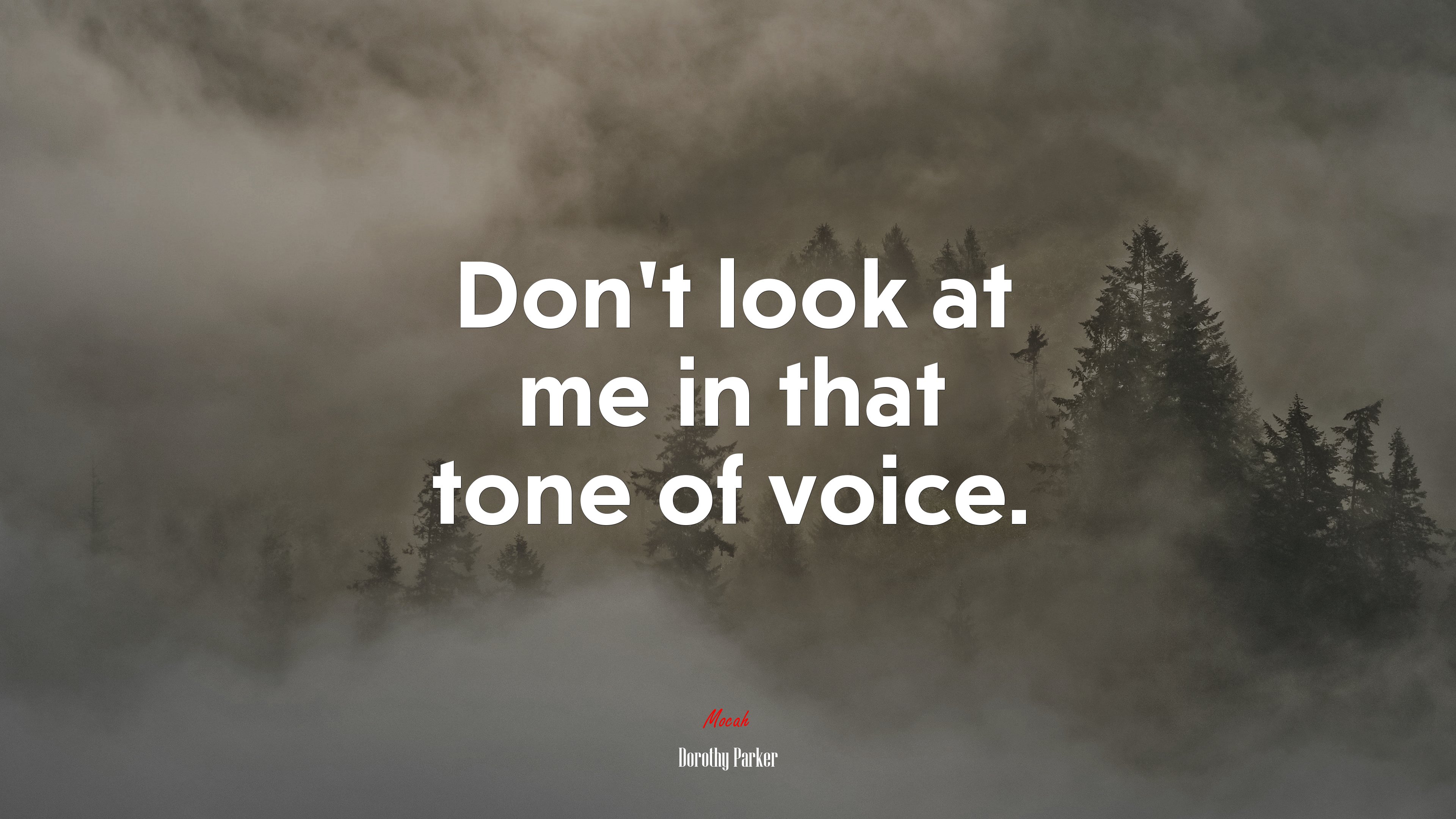 Don’t look at me in that tone of voice. | Dorothy Parker quote HD Wallpaper