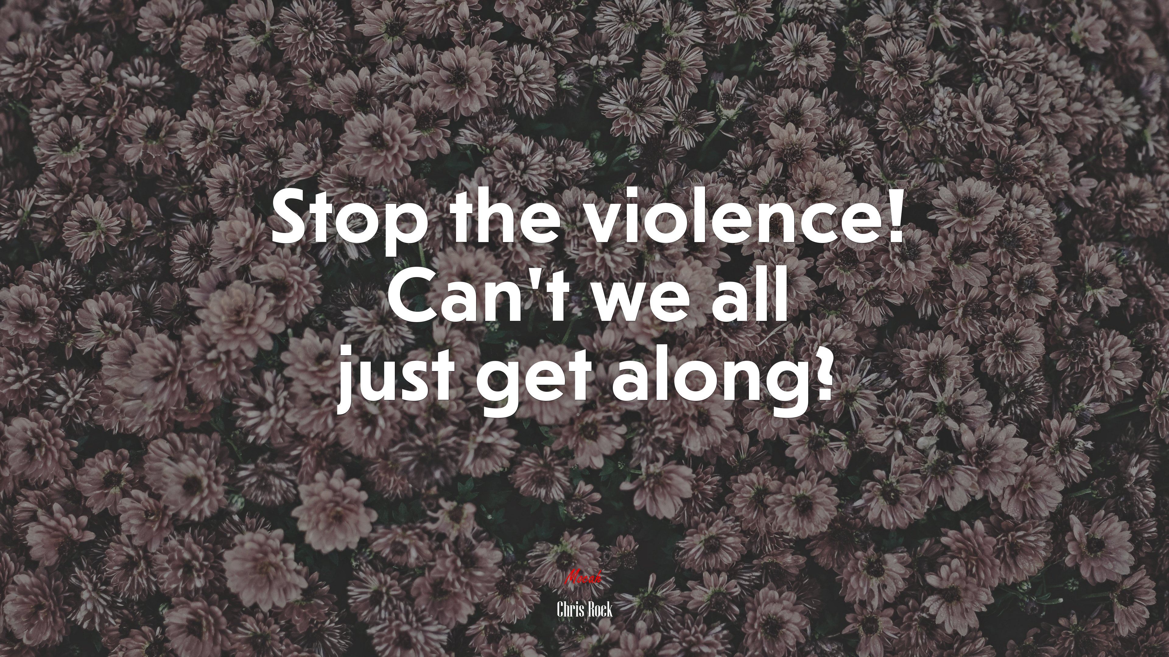Stop the violence! Can’t we all just get along? | Chris Rock quote HD Wallpaper