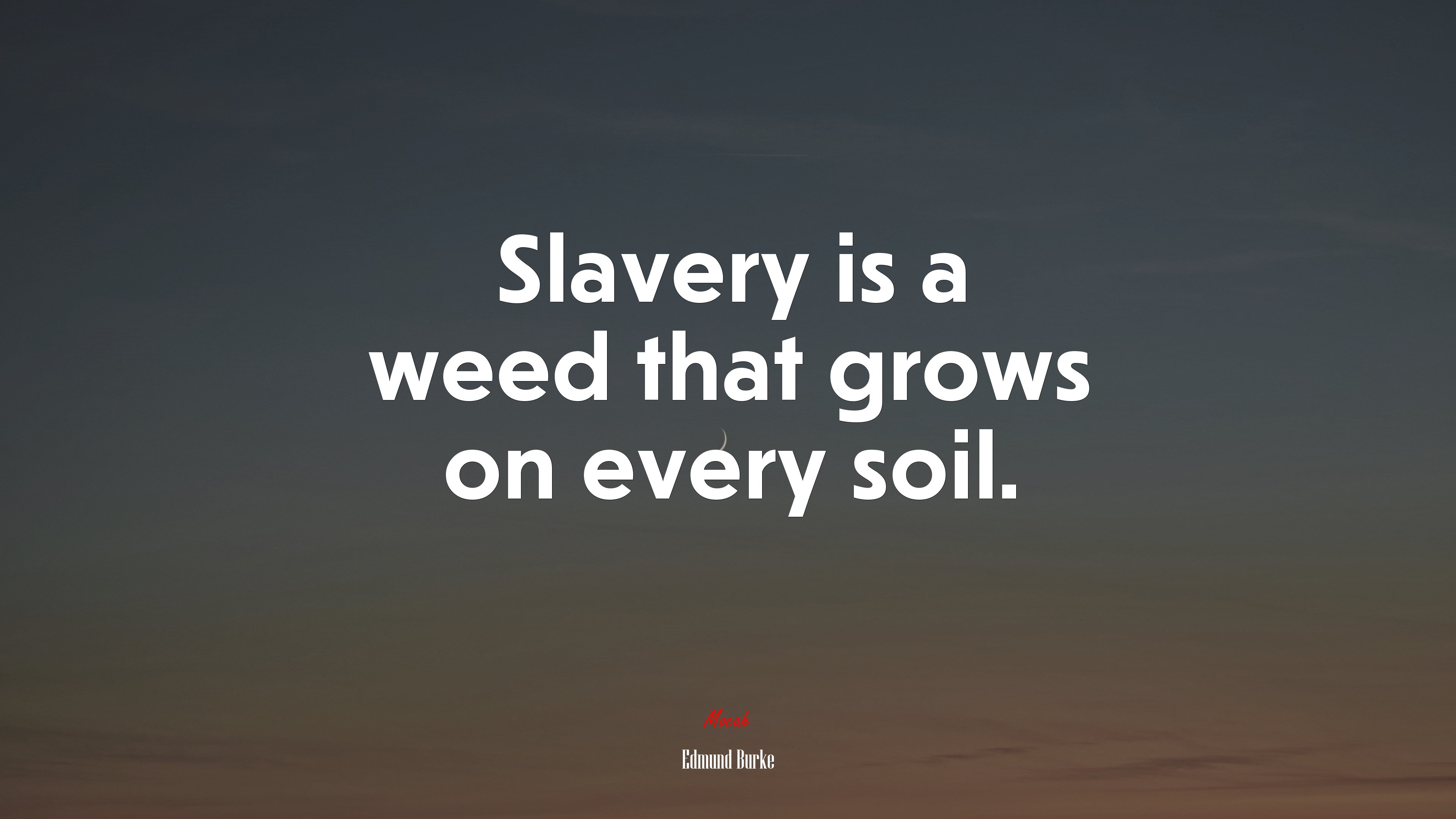 Slavery is a weed that grows on every soil. | Edmund Burke quote HD Wallpaper