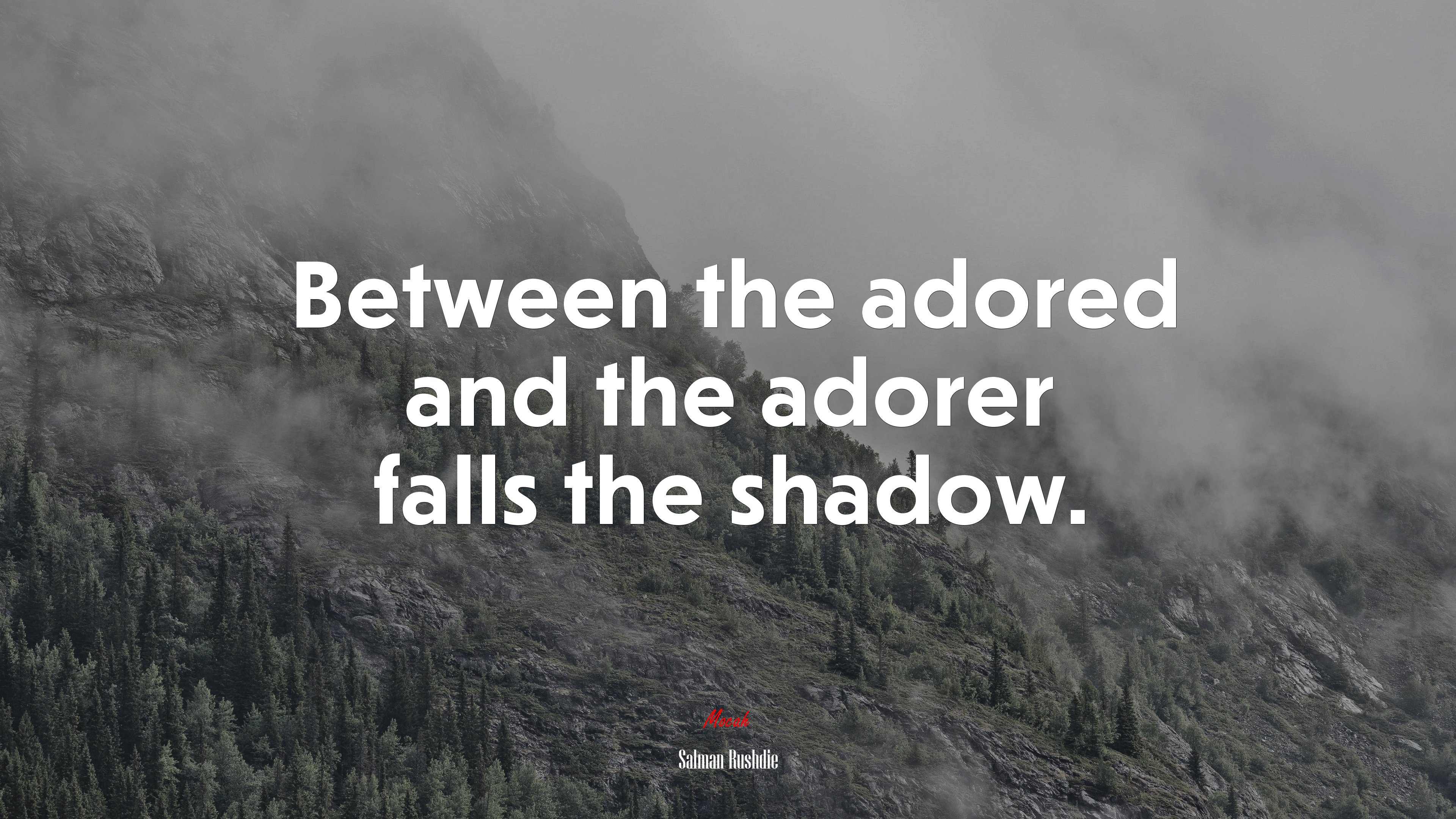 Between the adored and the adorer falls the shadow. | Salman Rushdie quote HD Wallpaper