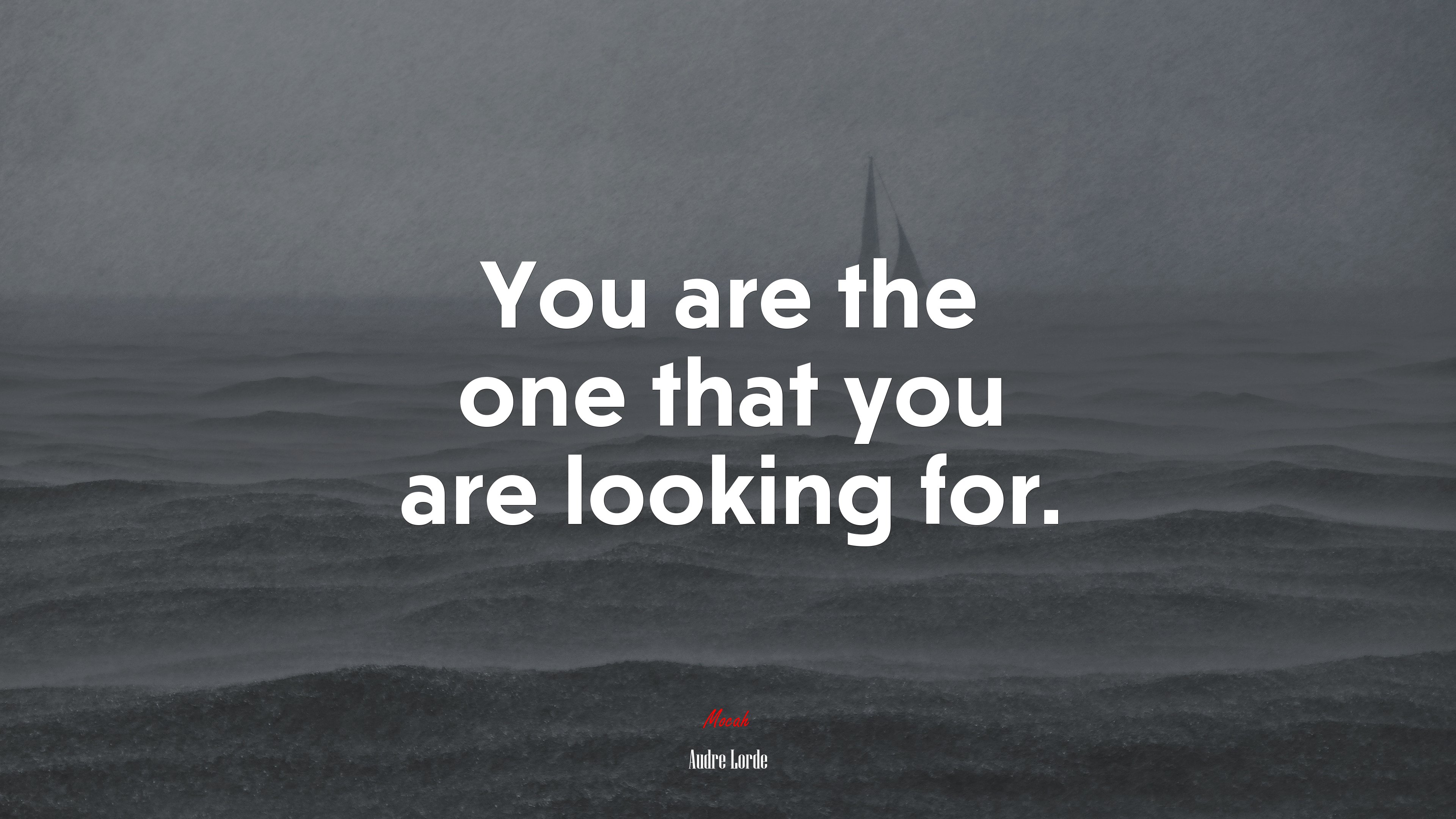 You are the one that you are looking for. | Audre Lorde quote HD Wallpaper