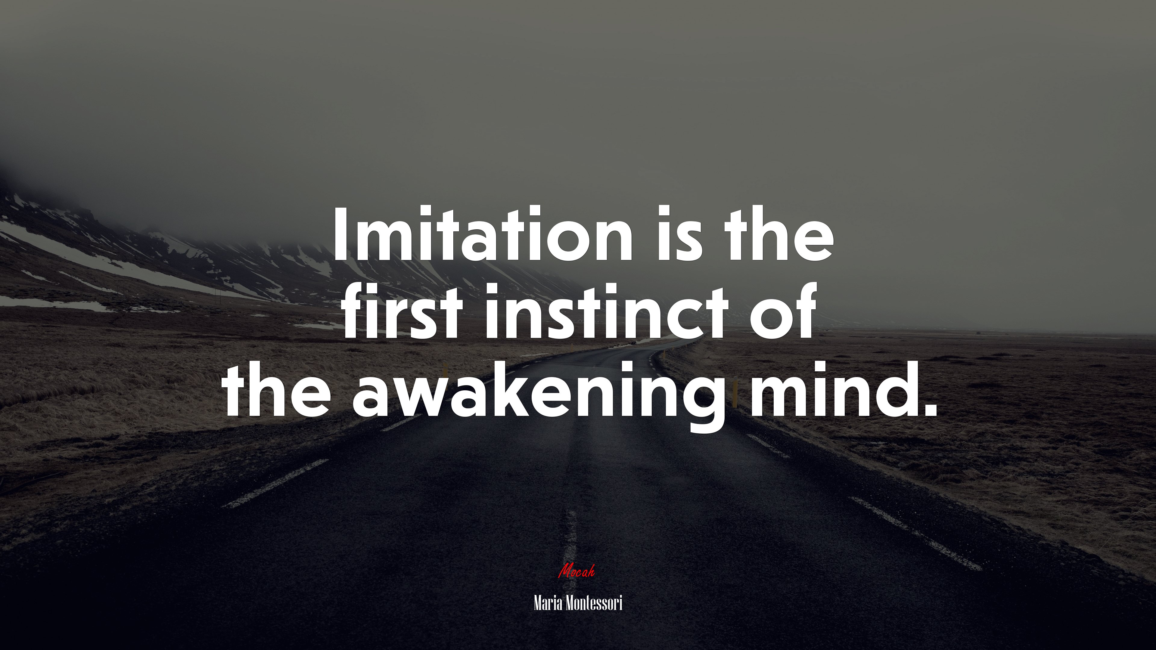 Imitation is the first instinct of the awakening mind. | Maria Montessori quote HD Wallpaper