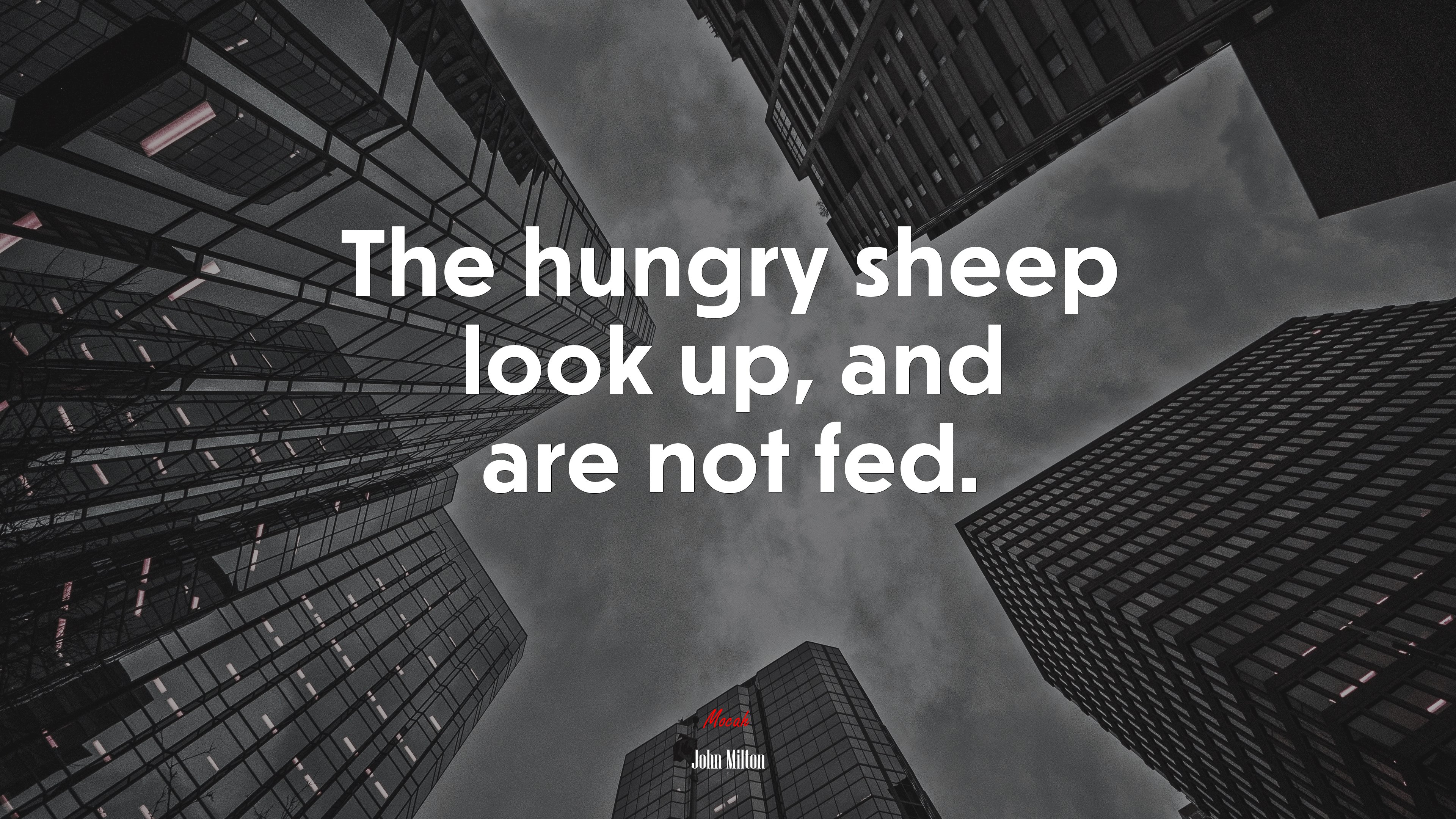 The hungry sheep look up, and are not fed. | John Milton quote HD Wallpaper