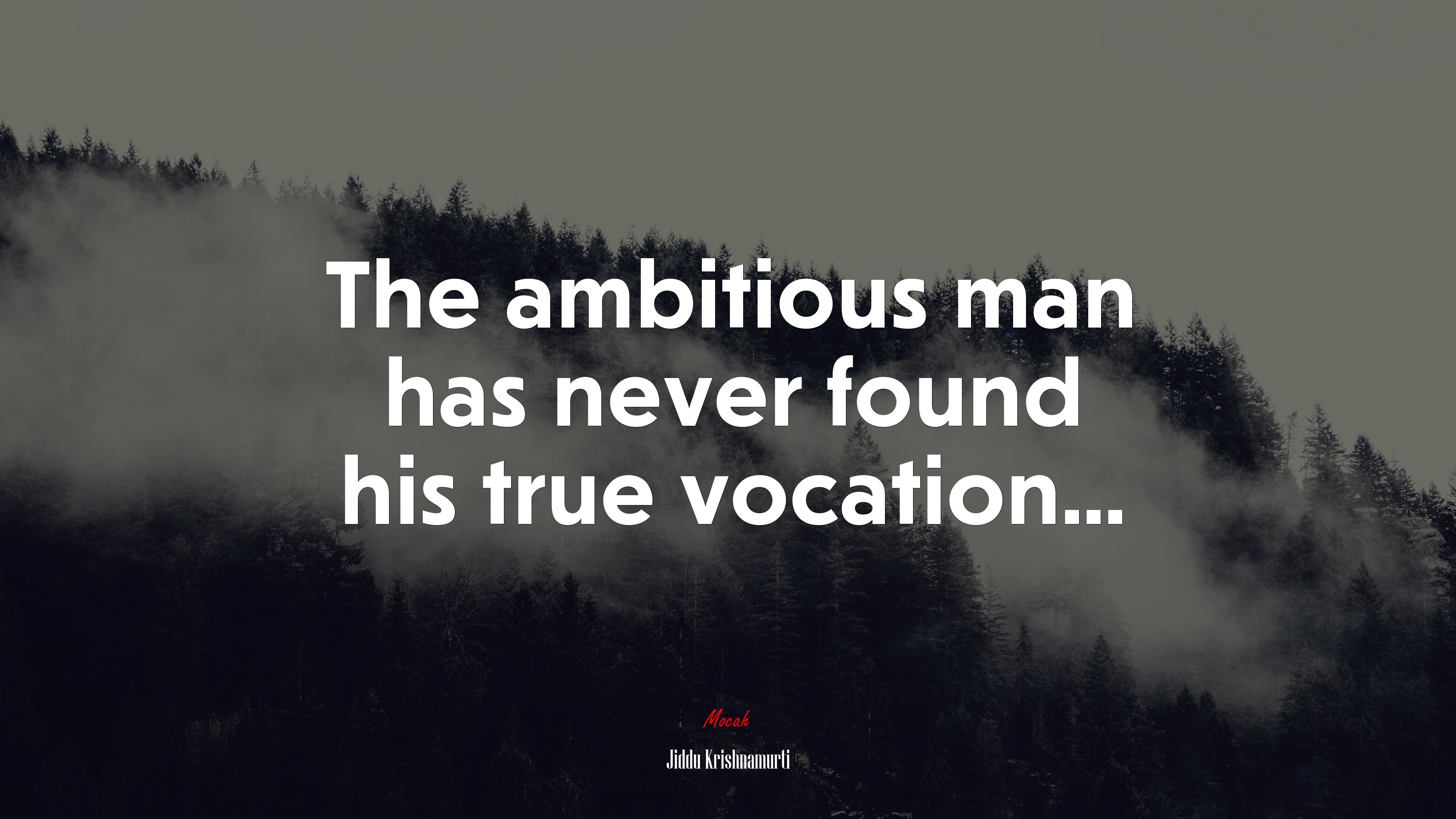The ambitious man has never found his true vocation... | Jiddu Krishnamurti quote HD Wallpaper