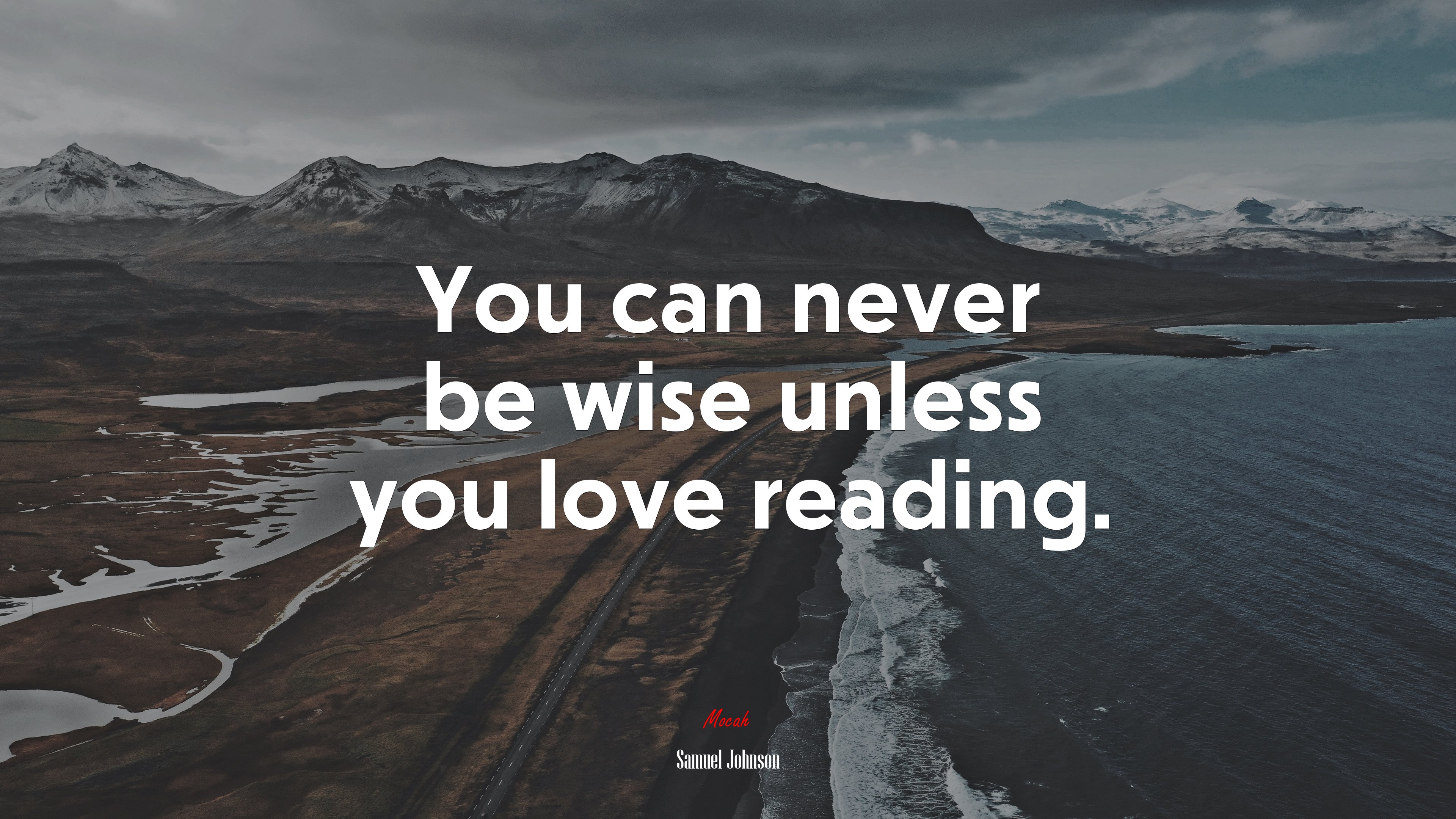You can never be wise unless you love reading. | Samuel Johnson quote HD Wallpaper