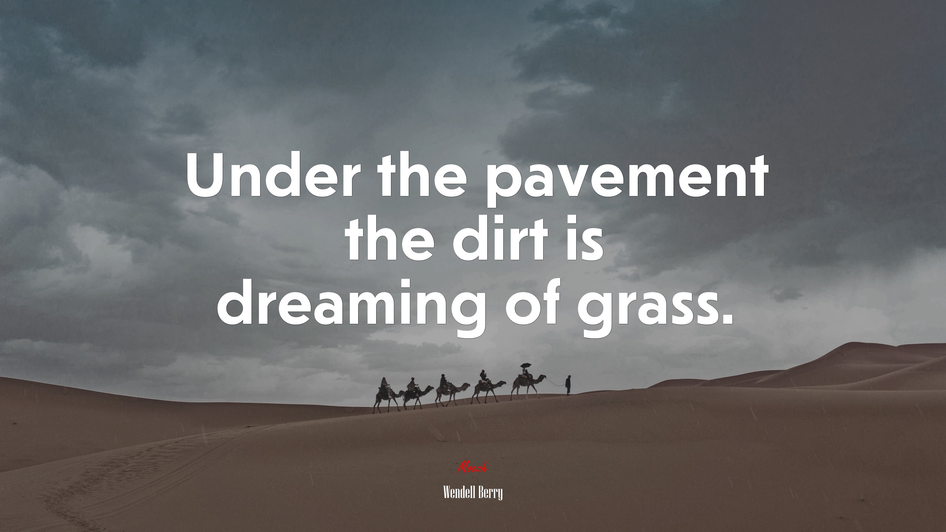 Under the pavement the dirt is dreaming of grass. | Wendell Berry quote HD Wallpaper