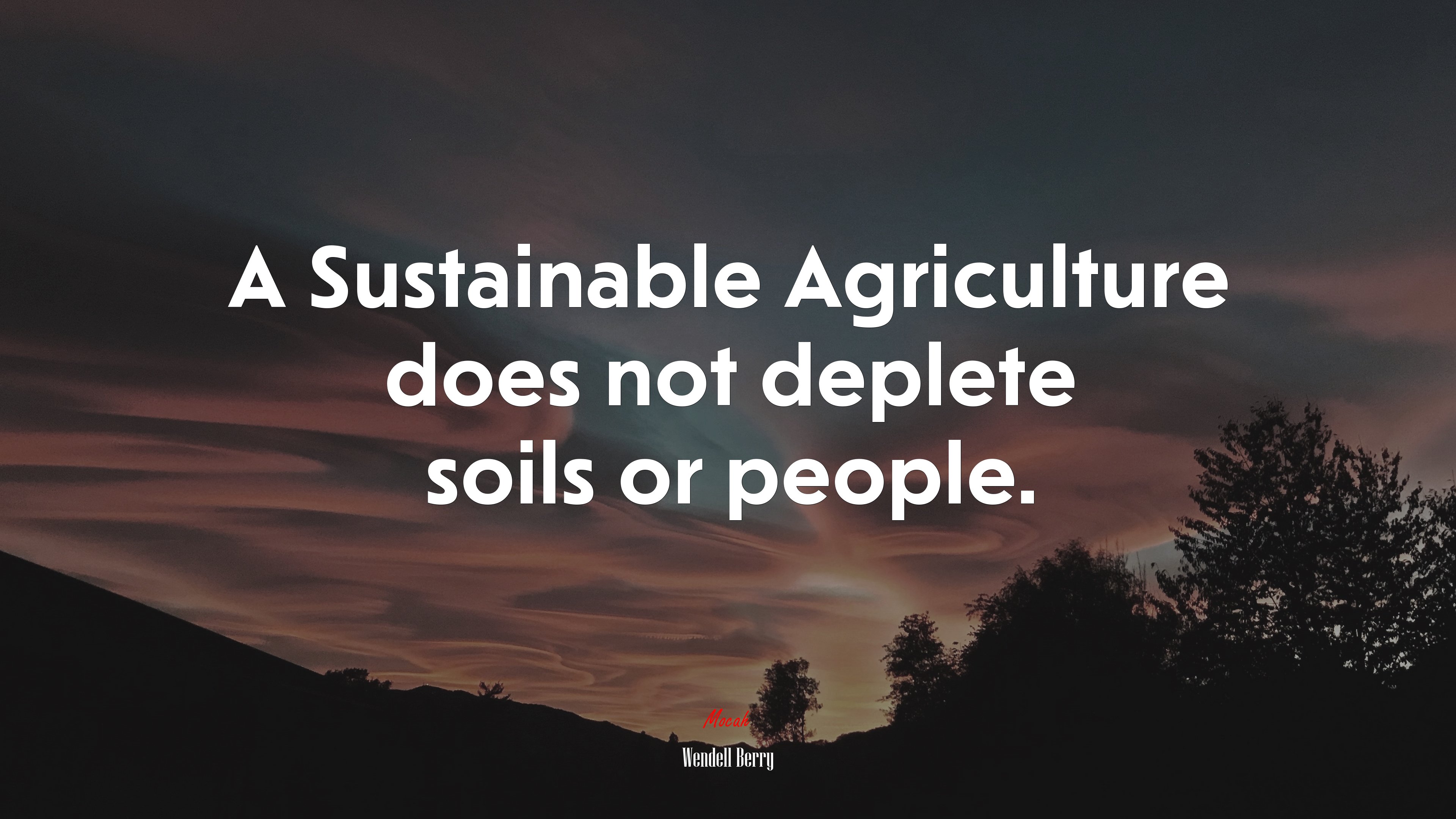 A Sustainable Agriculture does not deplete soils or people. | Wendell Berry quote HD Wallpaper