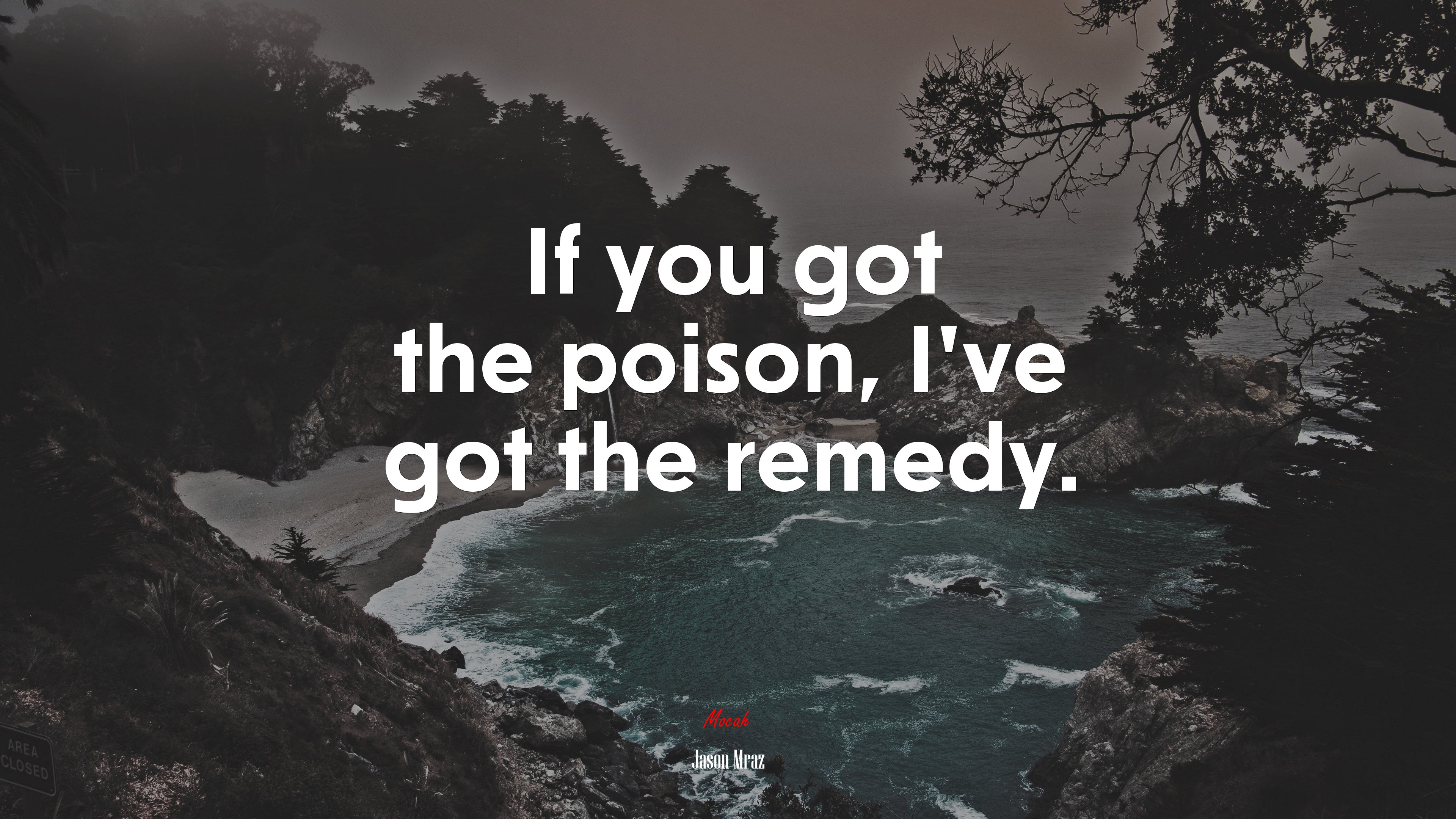 If you got the poison, I’ve got the remedy. | Jason Mraz quote HD Wallpaper