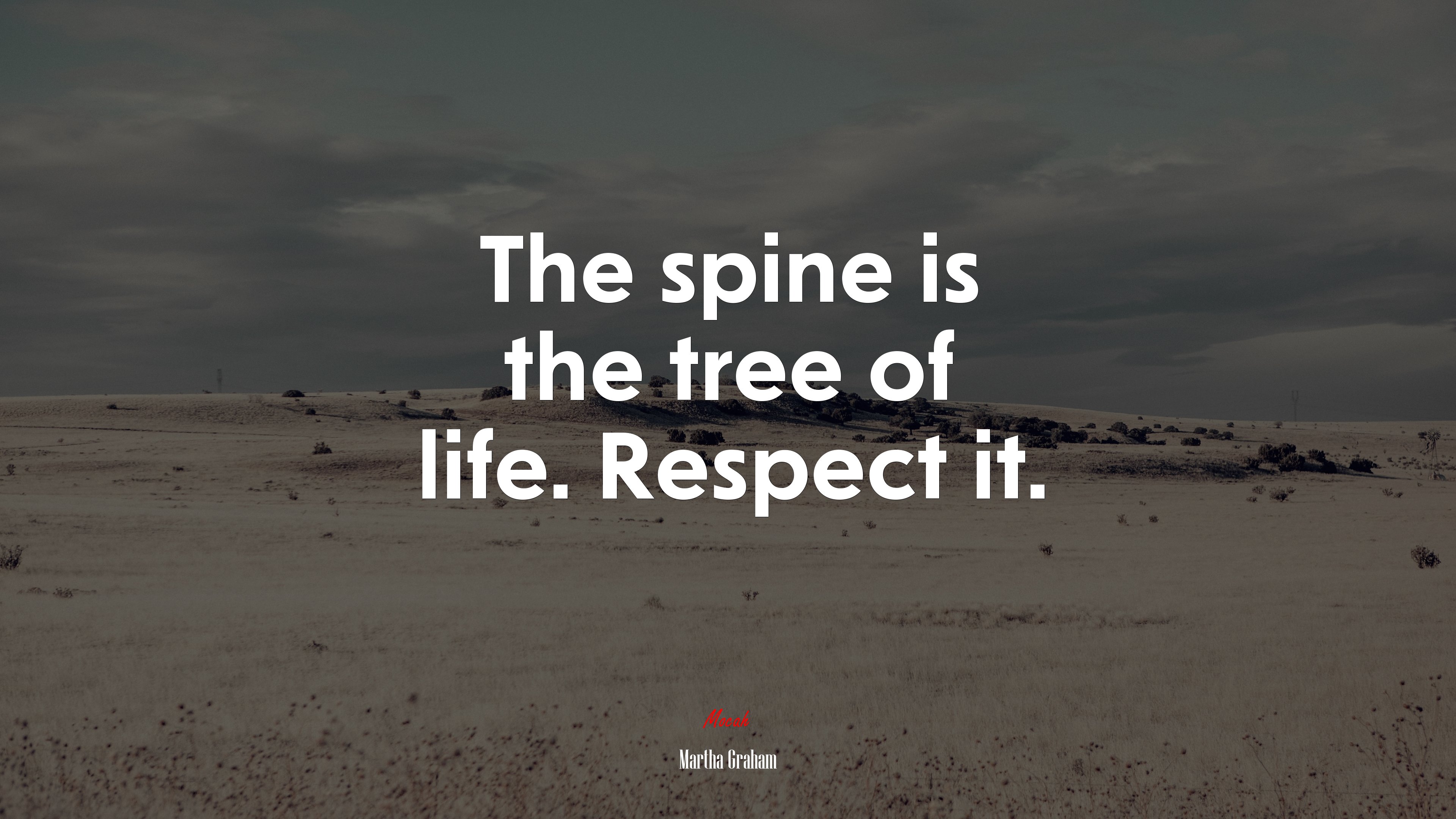 The spine is the tree of life. Respect it. | Martha Graham quote HD Wallpaper