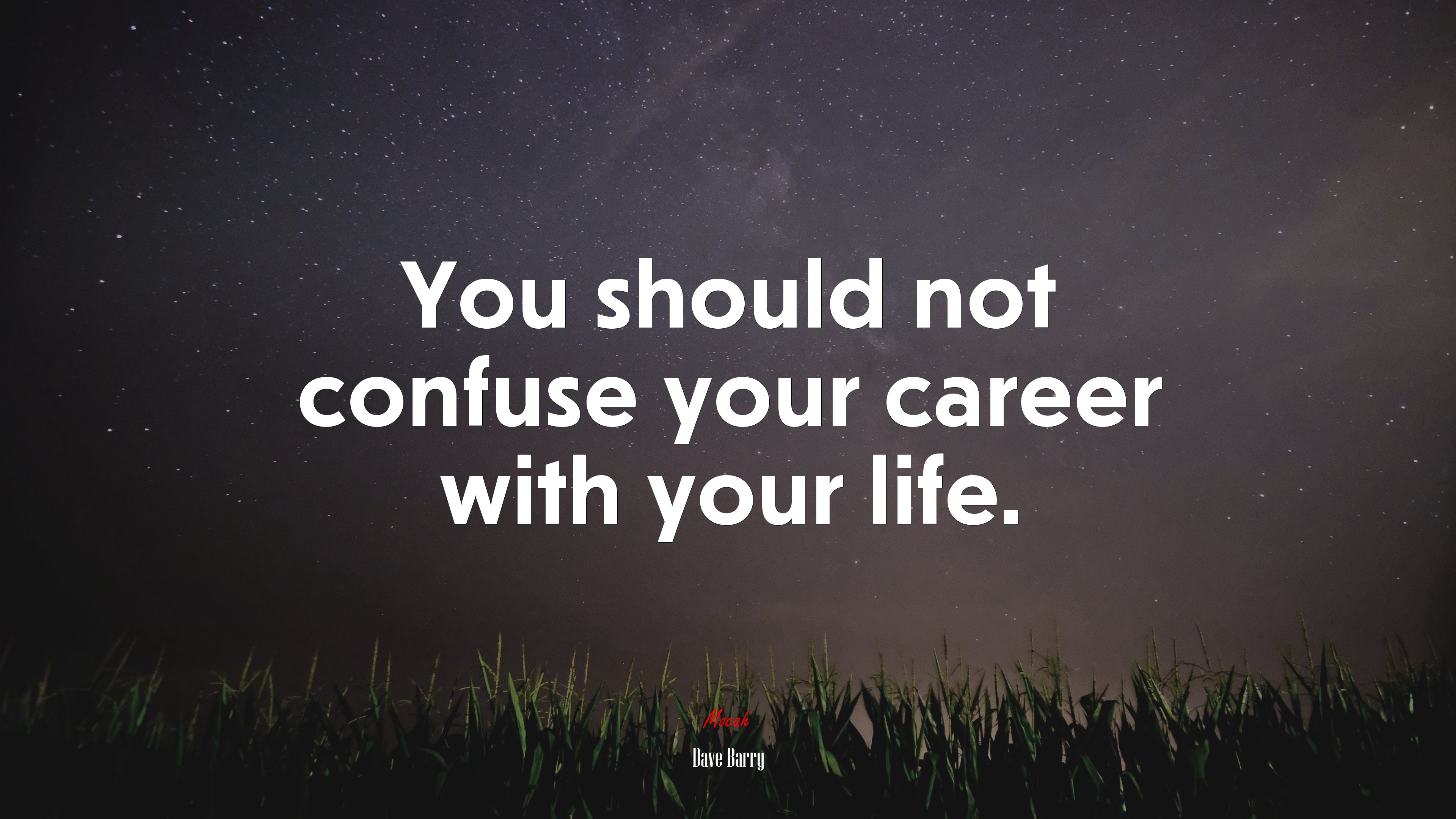 You should not confuse your career with your life. | Dave Barry quote HD Wallpaper