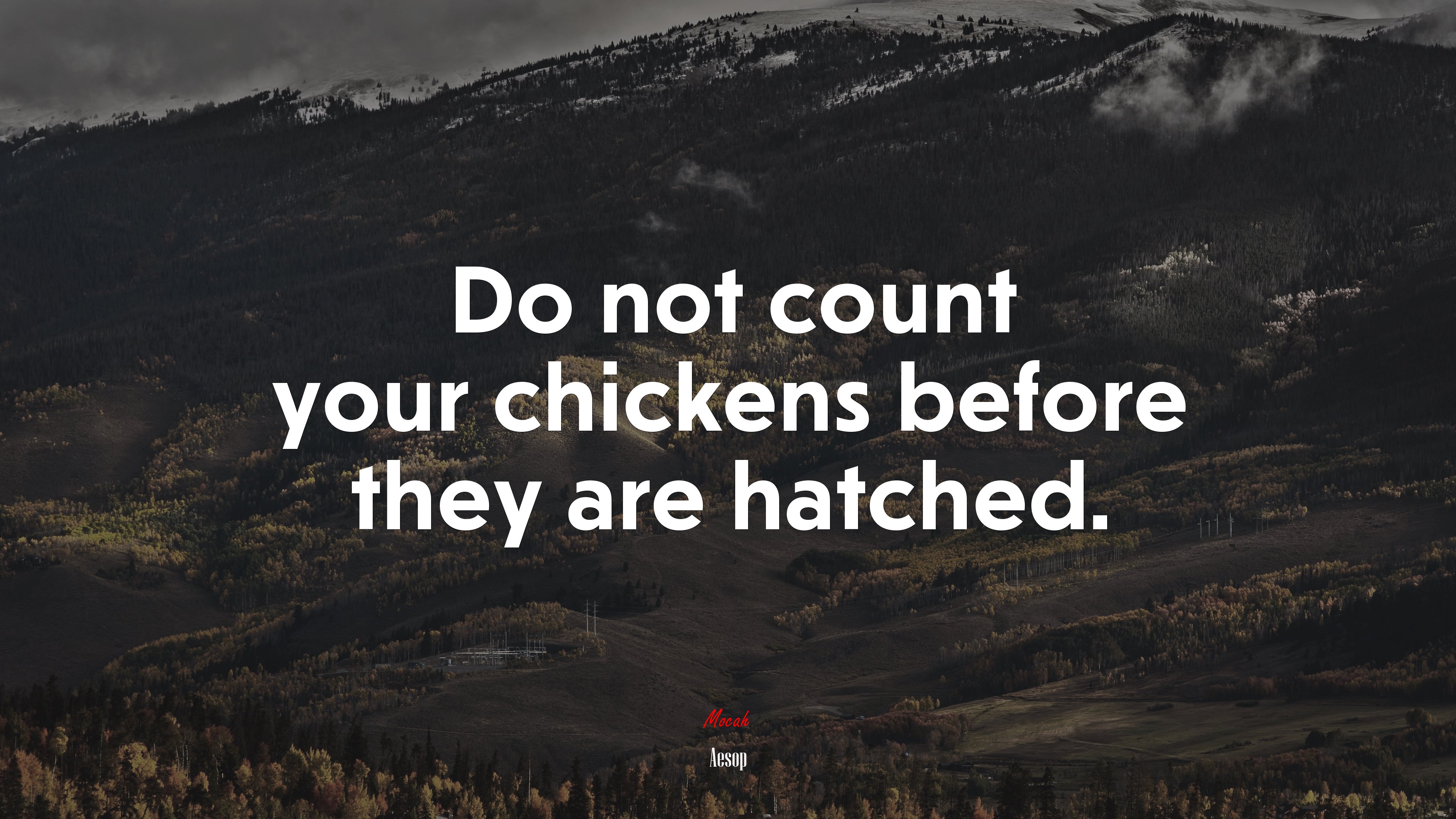 Do not count your chickens before they are hatched. | Aesop quote HD Wallpaper