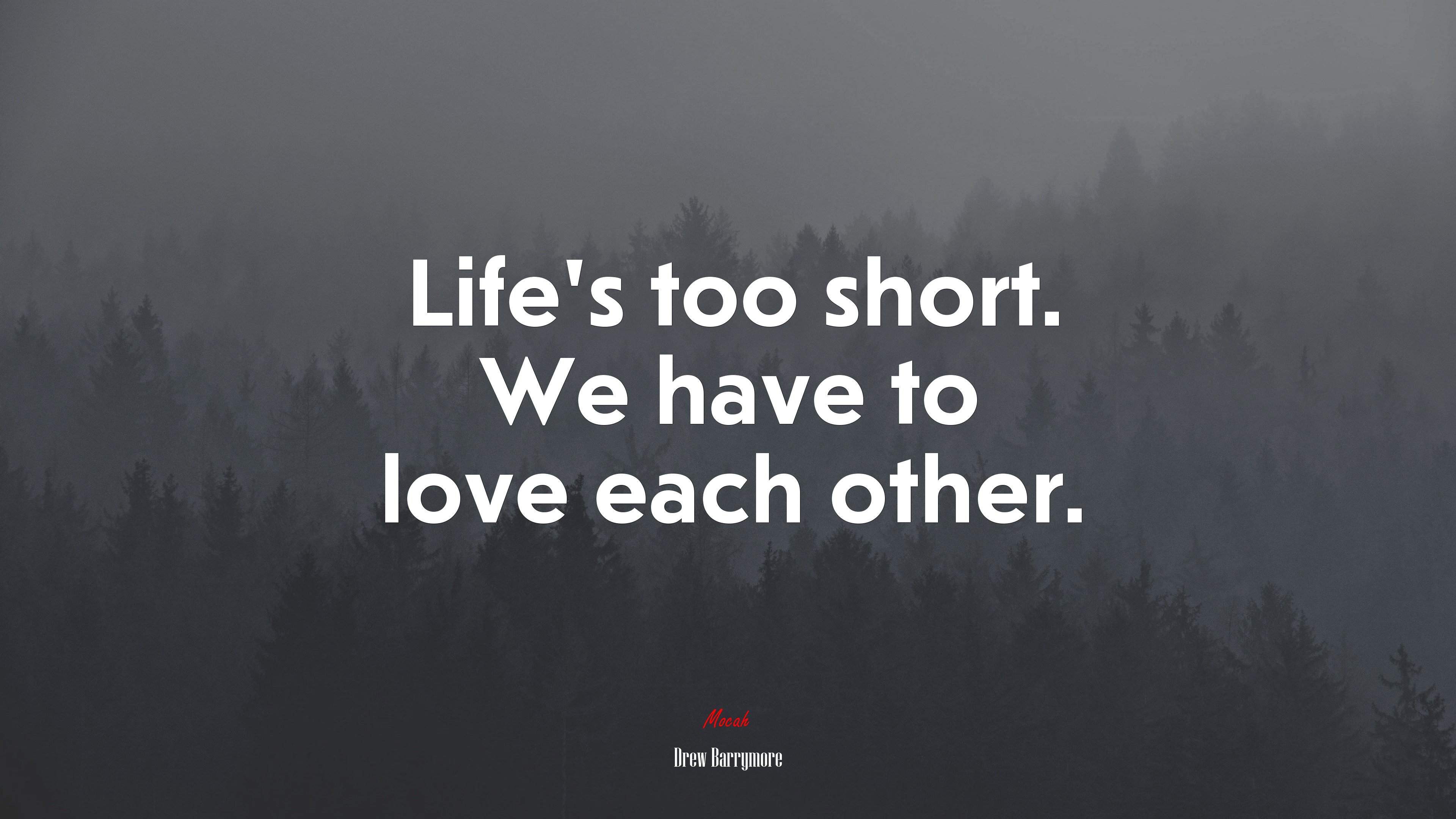 Life’s too short. We have to love each other. | Drew Barrymore quote HD Wallpaper